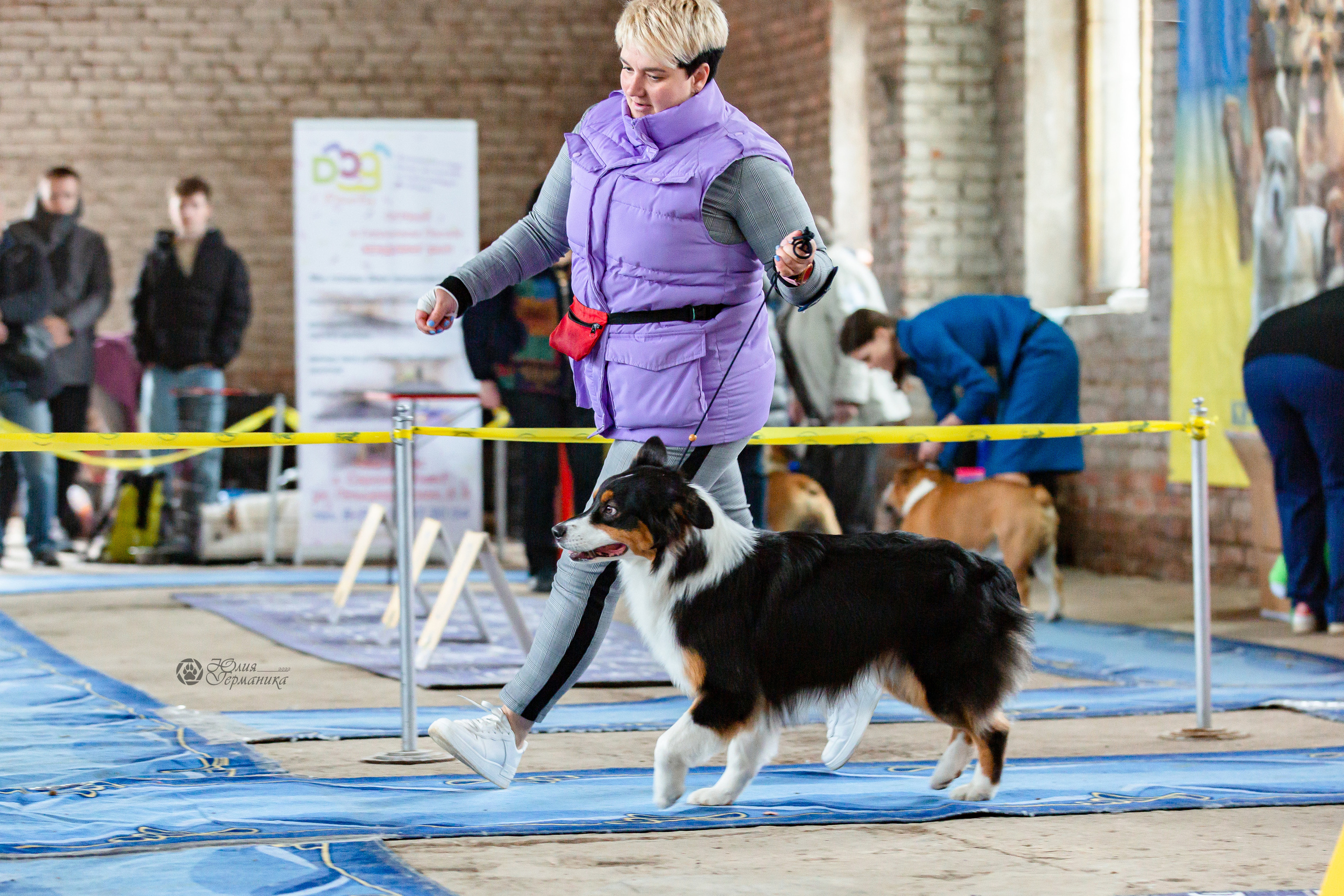 Сергиев Посад 23.04.2022. Фотограф-анималист Юлия Германика