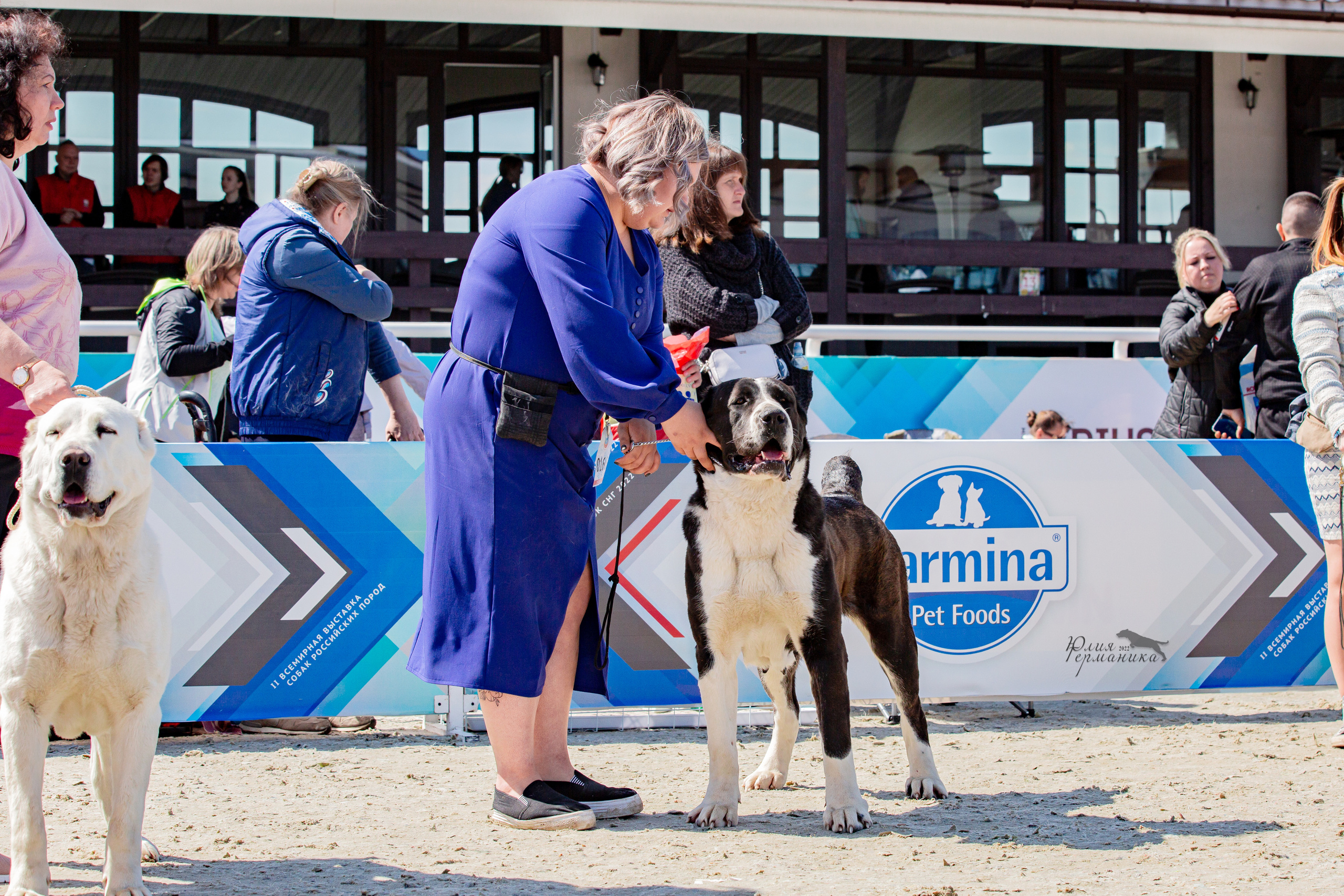 Евразия 21-22 мая 2022. Фотограф-анималист Юлия Германика