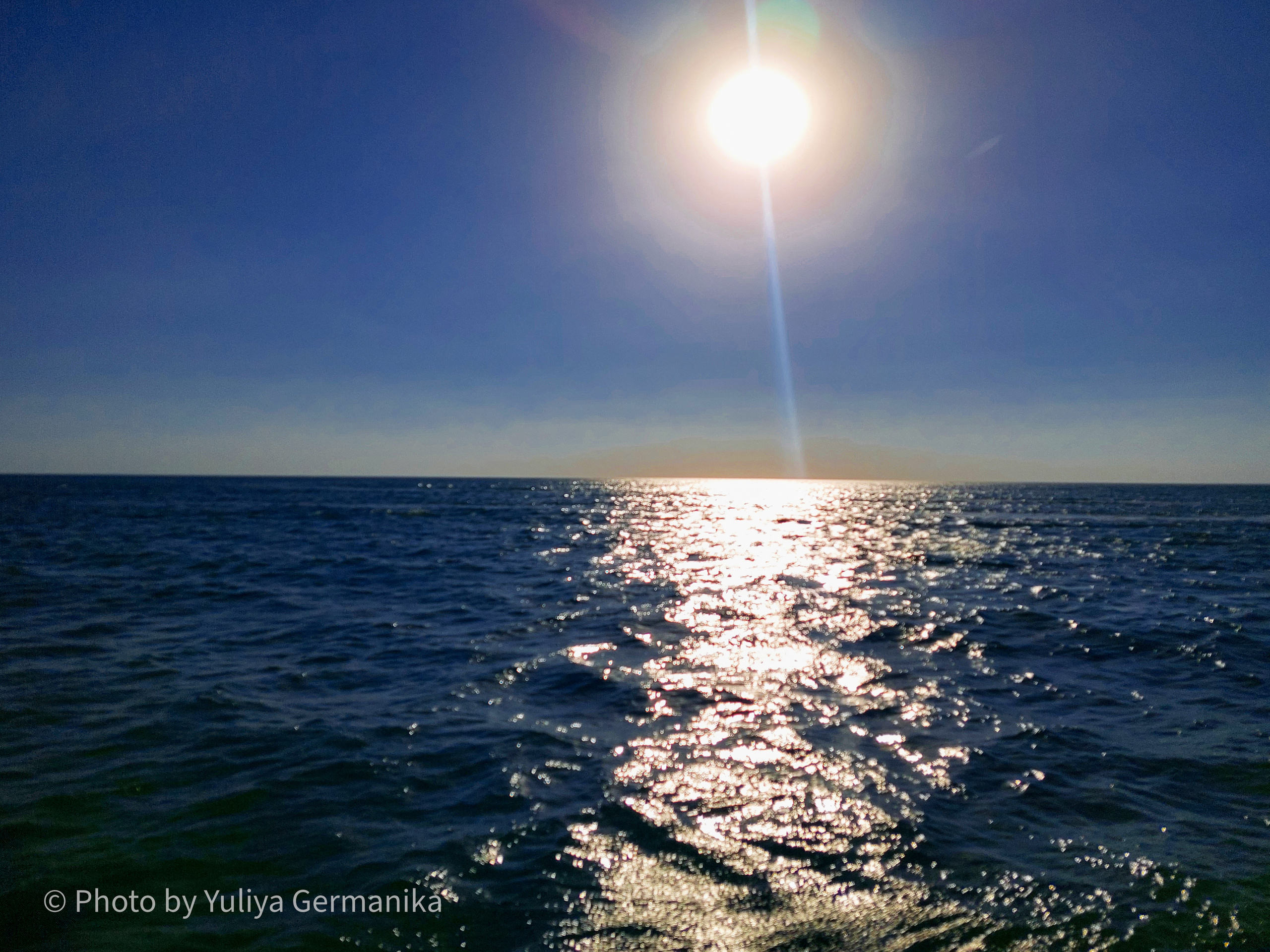 Разные фото на телефон.Города,природа. Фотограф-анималист Юлия Германика