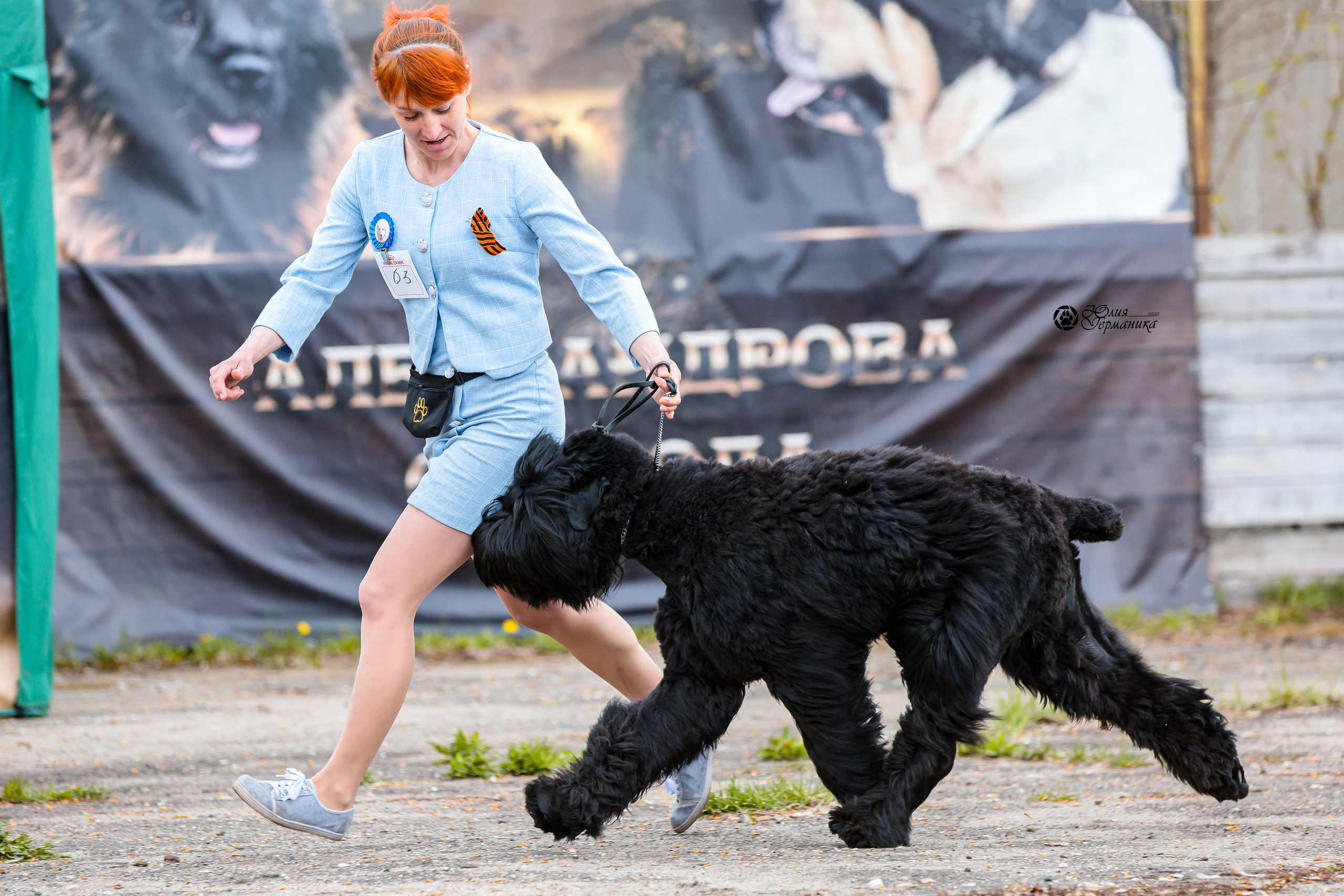 Александров 2хСАС 8 мая 2022. Фотограф-анималист Юлия Германика