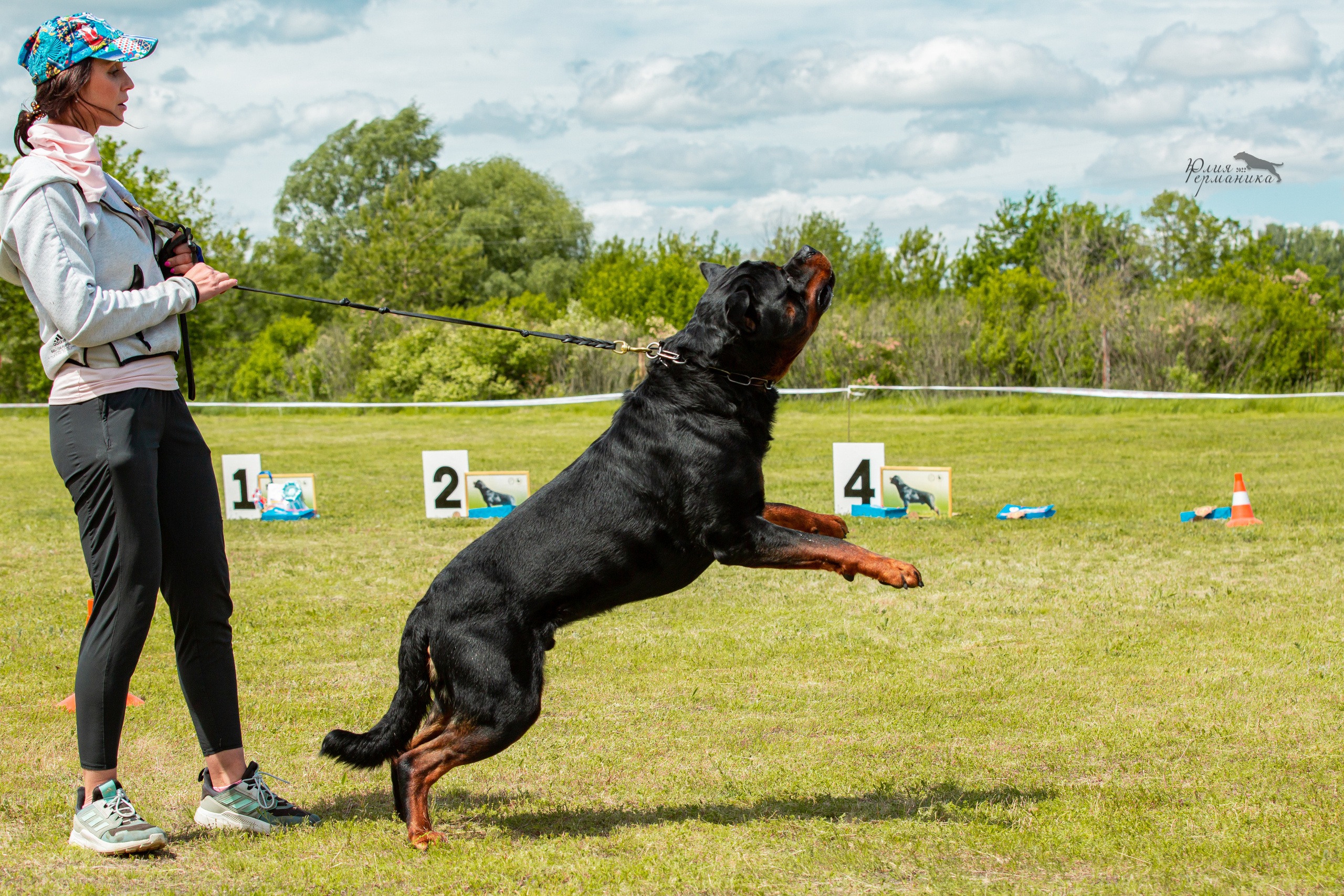 Воронеж моно ротвейлеров 28-29 мая 2022. Фотограф-анималист Юлия Германика