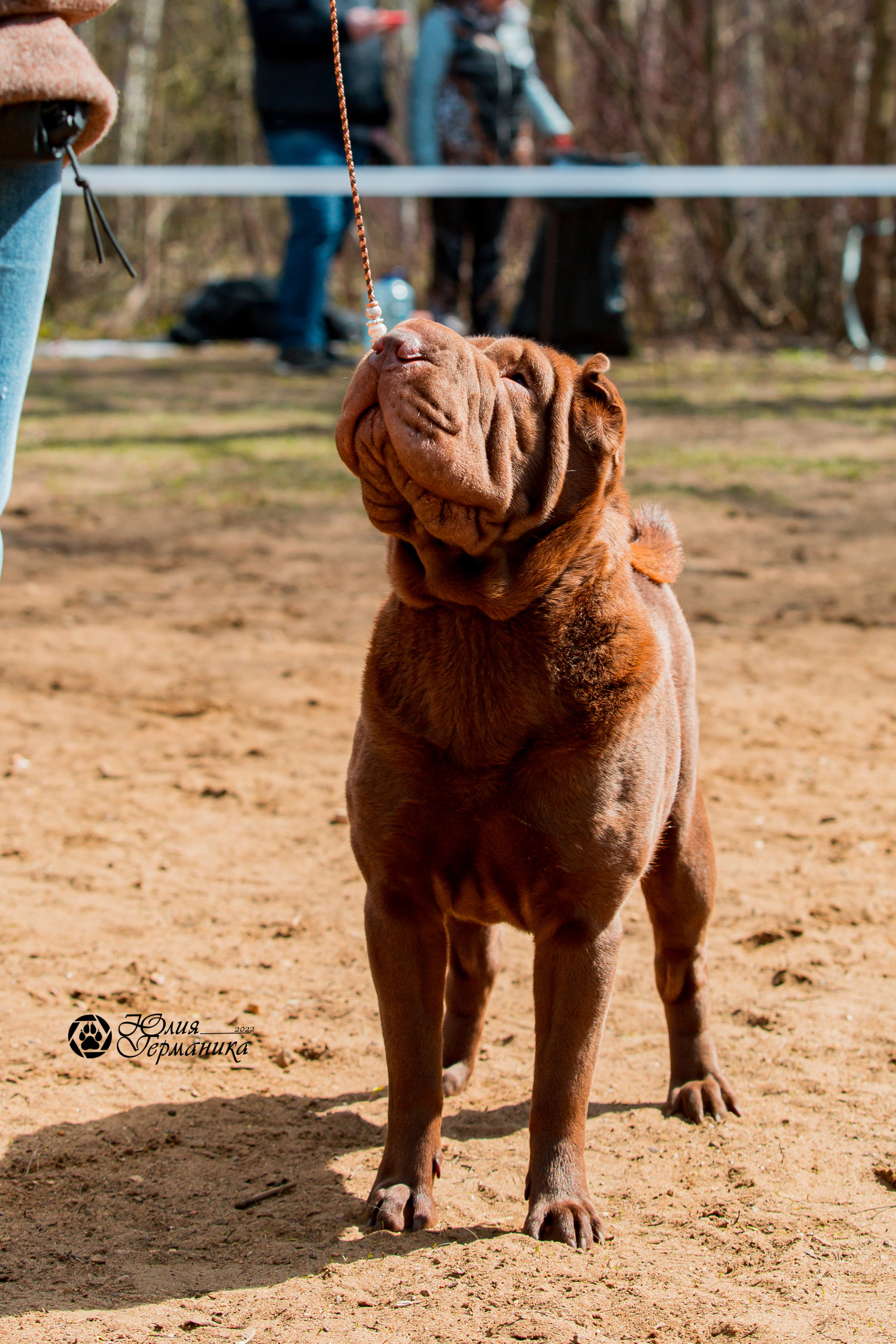Сокольники 1 мая 2022. Фотограф-анималист Юлия Германика
