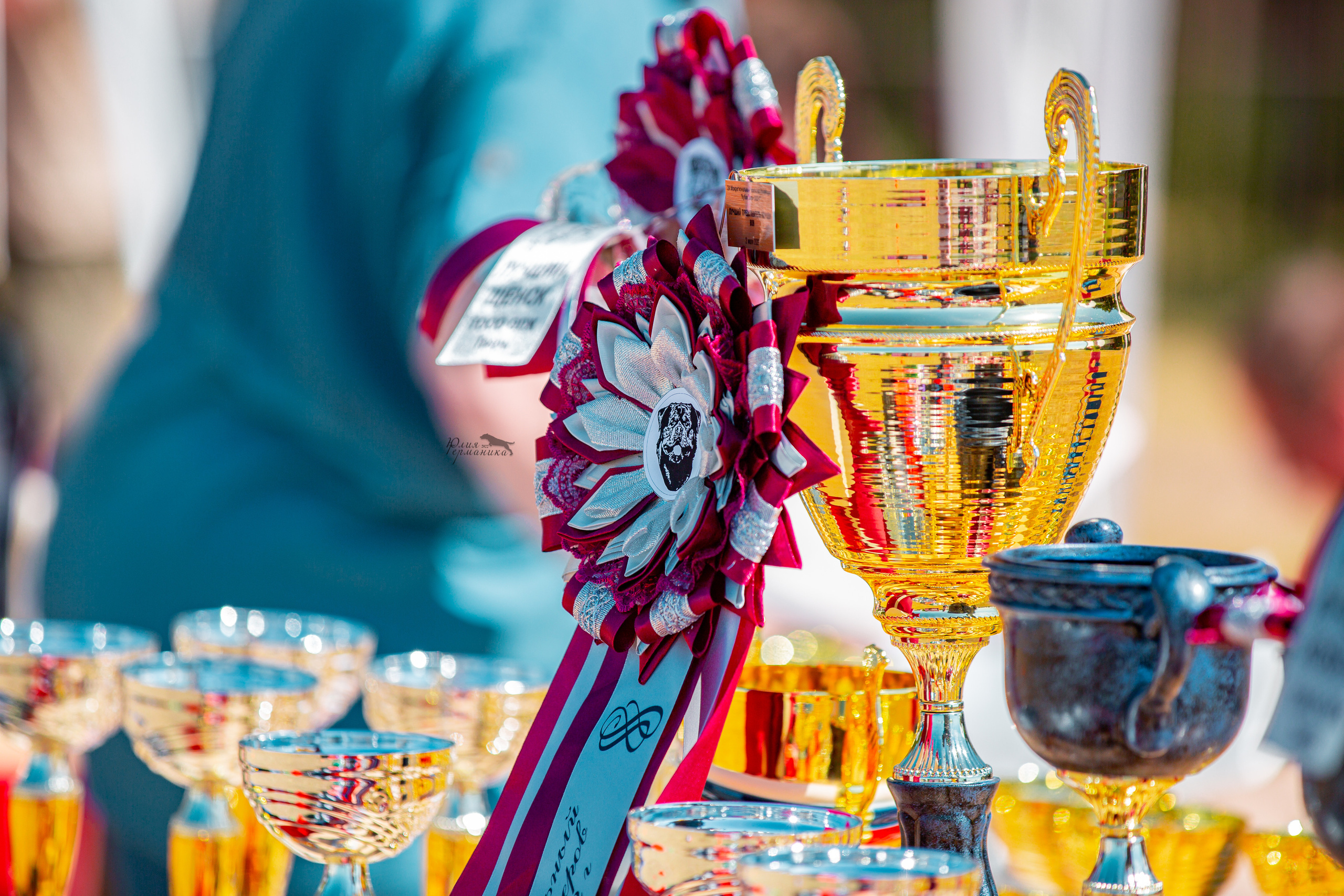 Тверь моно ротвейлеров 2-3.07.2022. Фотограф-анималист Юлия Германика