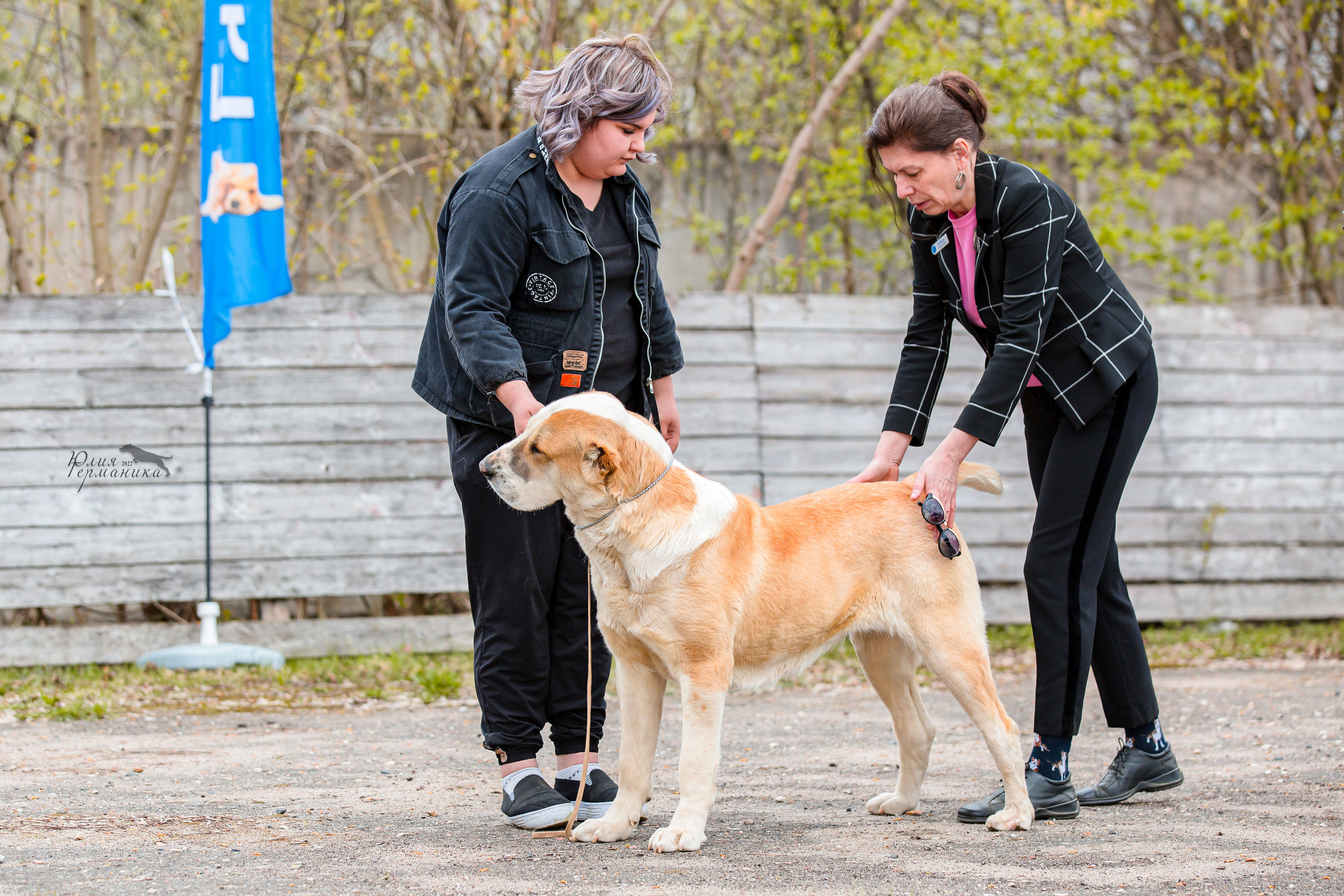 Александров 2хСАС 8 мая 2022. Фотограф-анималист Юлия Германика