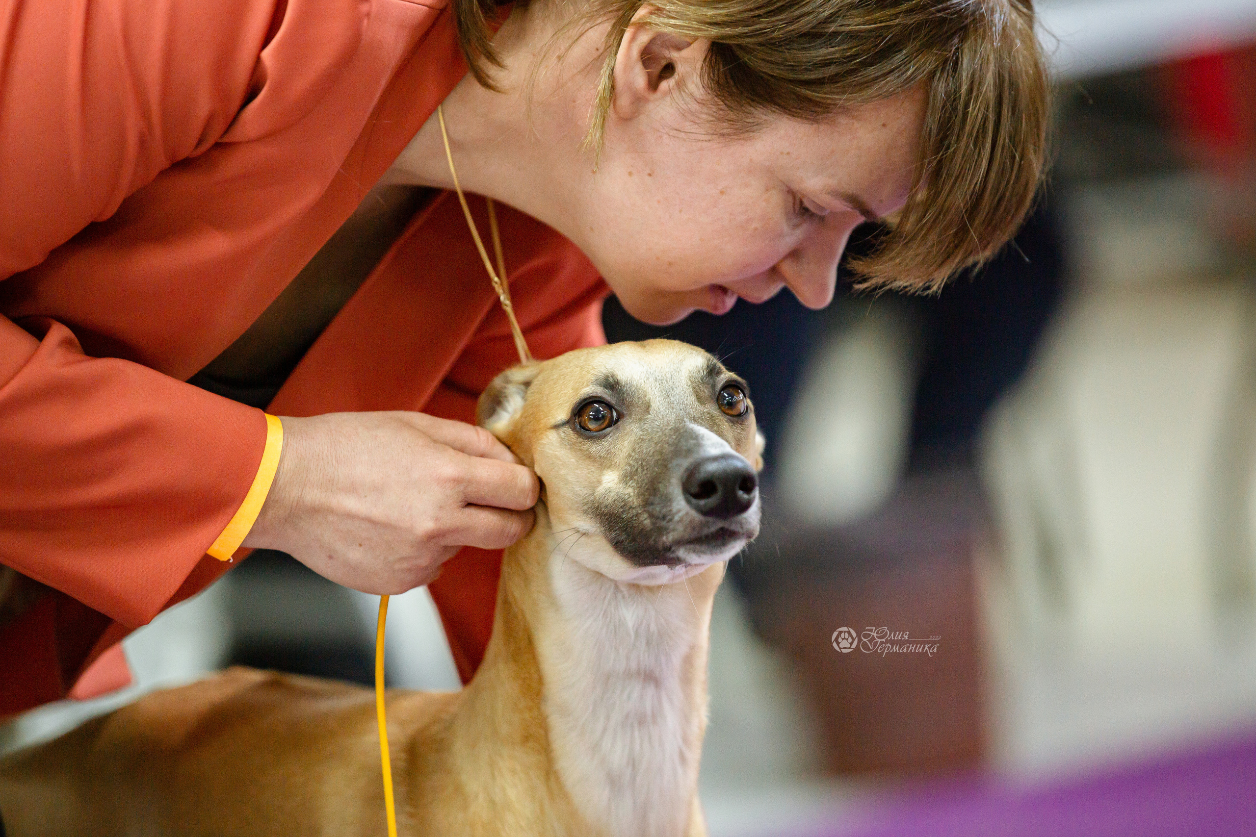 Чайна-Таун 16-17 апреля 2022. Фотограф-анималист Юлия Германика