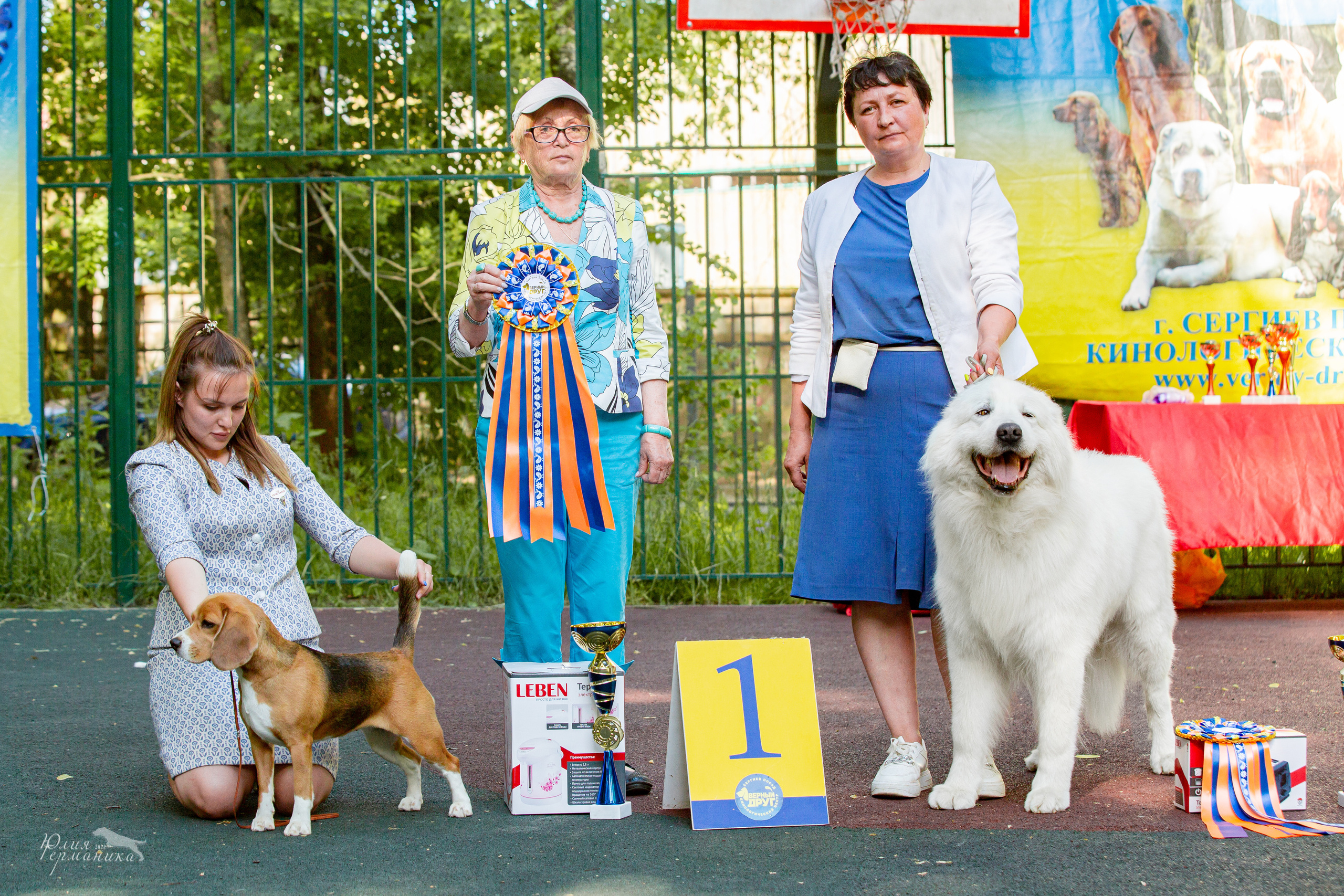 Сергиев Посад 2хСАС 25.06.2022. Фотограф-анималист Юлия Германика