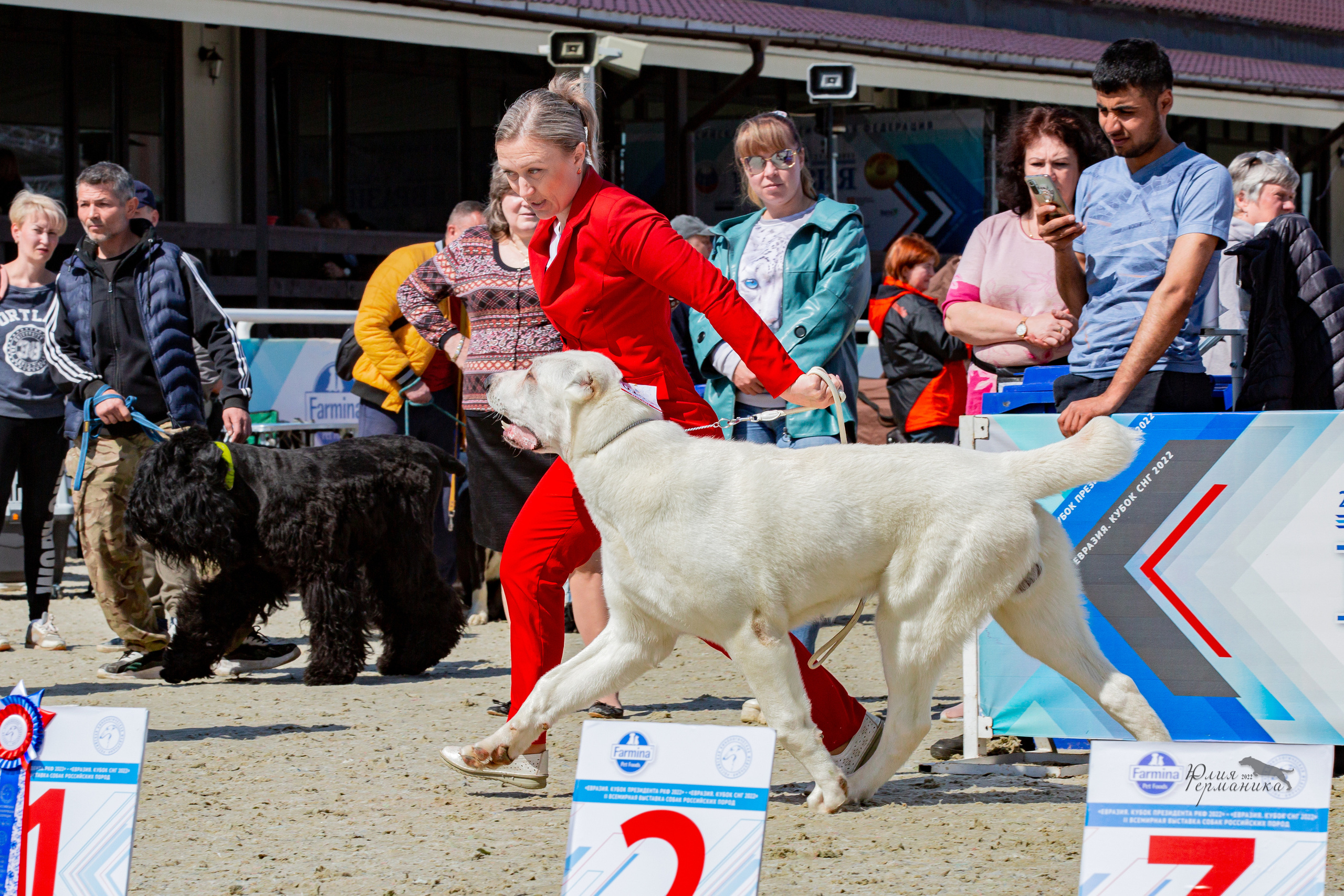 Евразия 21-22 мая 2022. Фотограф-анималист Юлия Германика