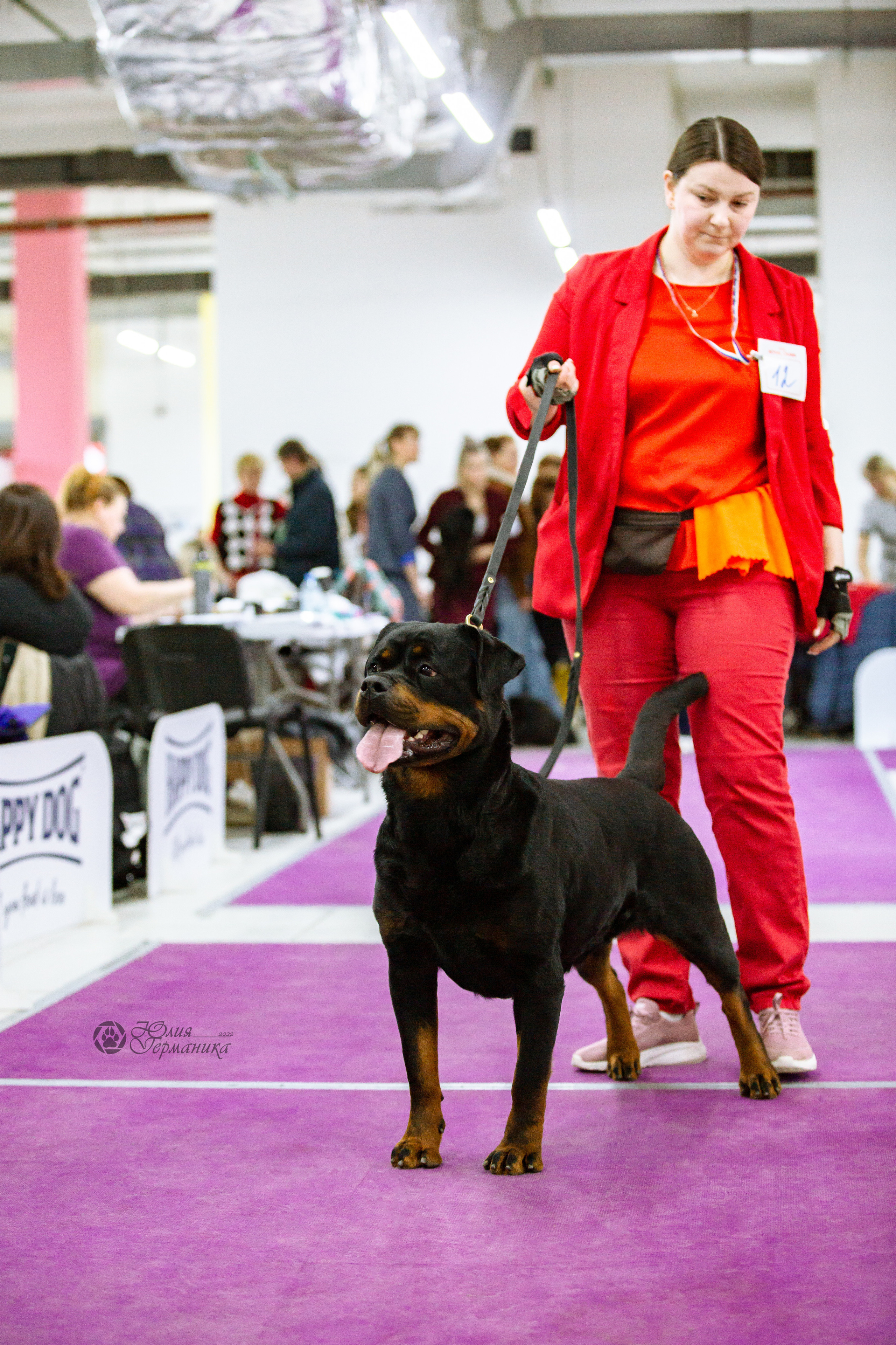 Чайна-Таун 16-17 апреля 2022. Фотограф-анималист Юлия Германика