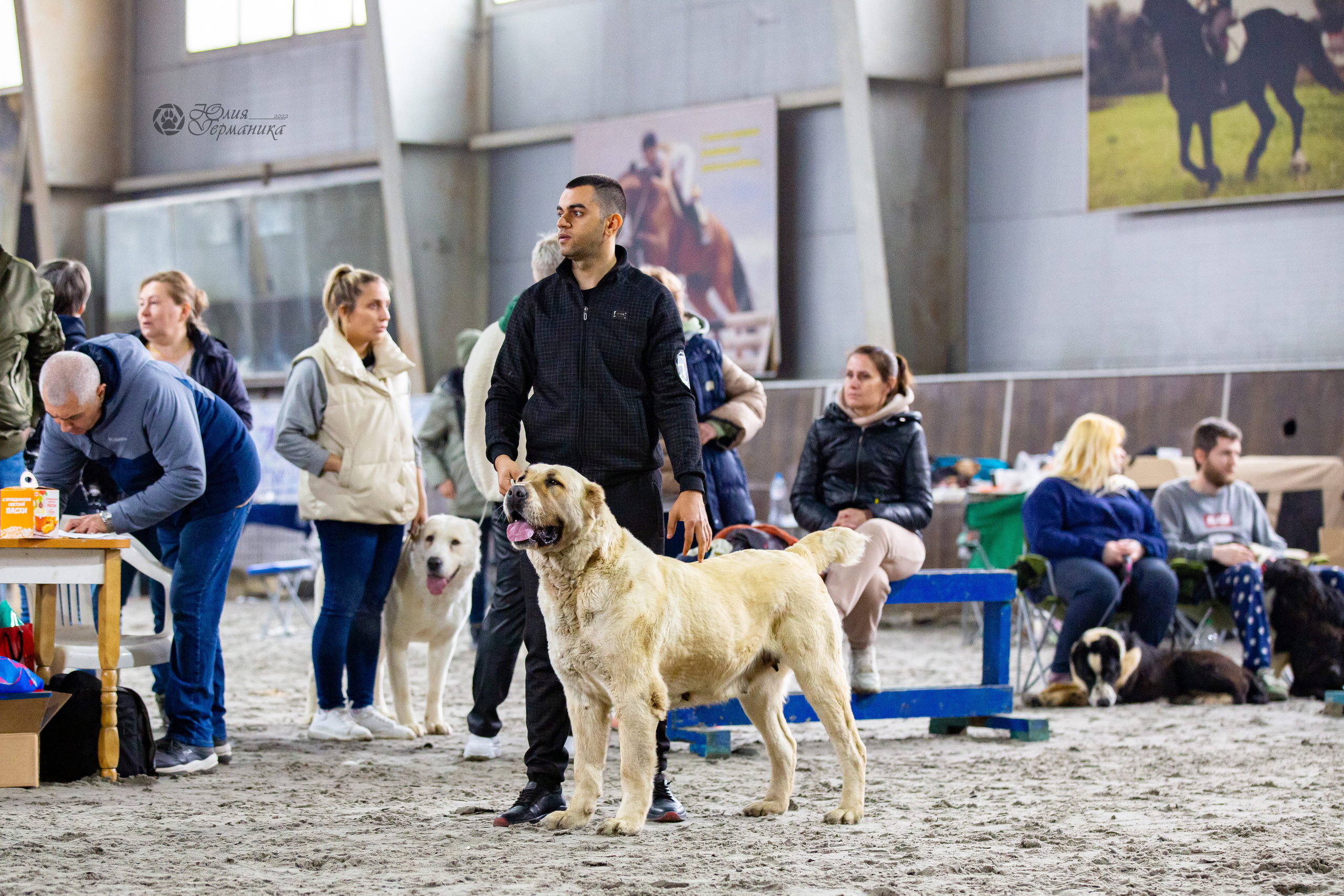 Националка САО+КЧК 24 апреля 2022. Фотограф-анималист Юлия Германика