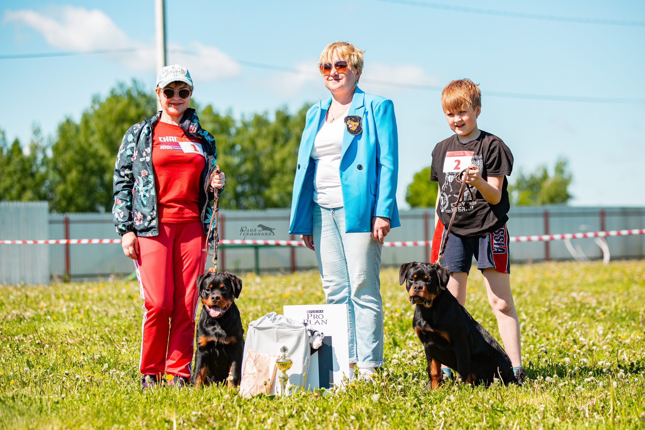Нижний Новгород моно ротвейлеров 4 июня 2022. Фотограф-анималист Юлия Германика