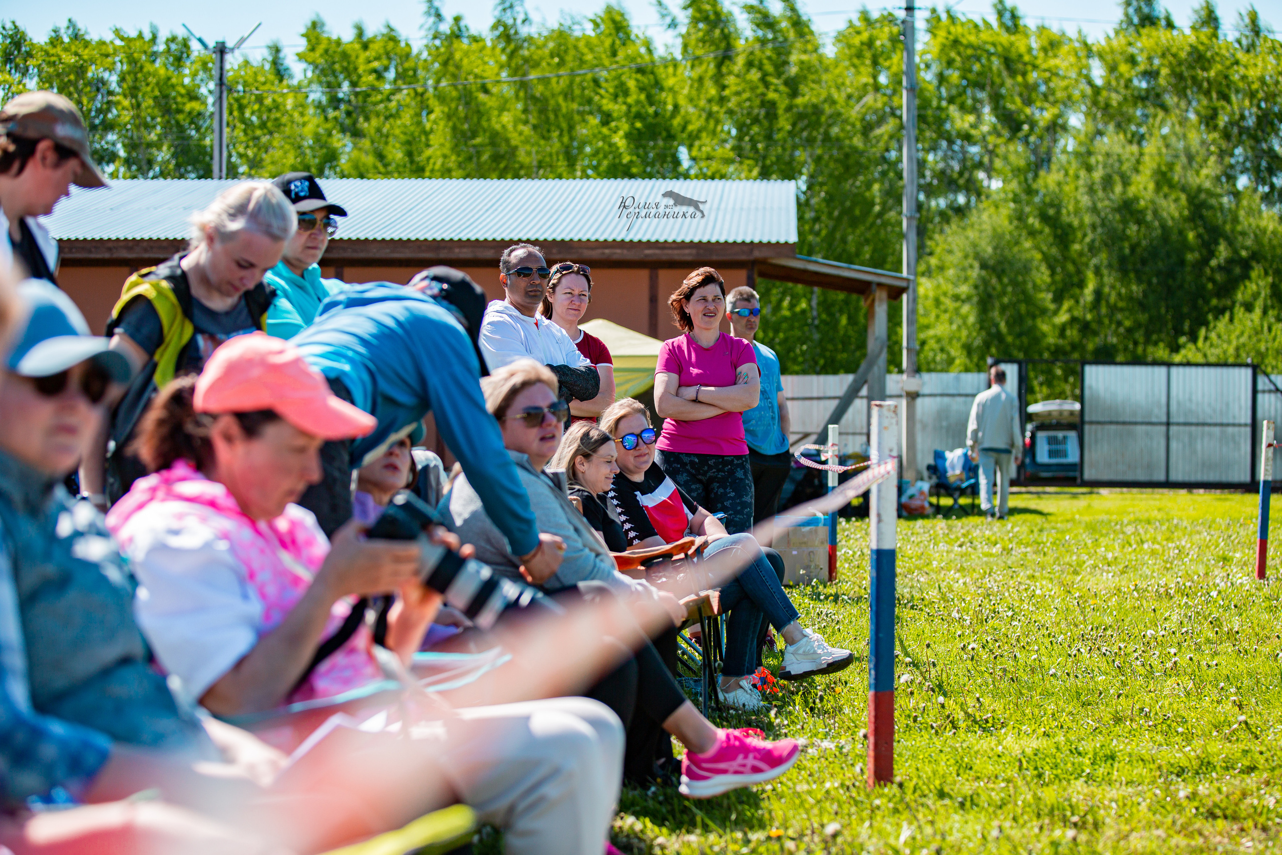 Нижний Новгород моно ротвейлеров 4 июня 2022. Фотограф-анималист Юлия Германика