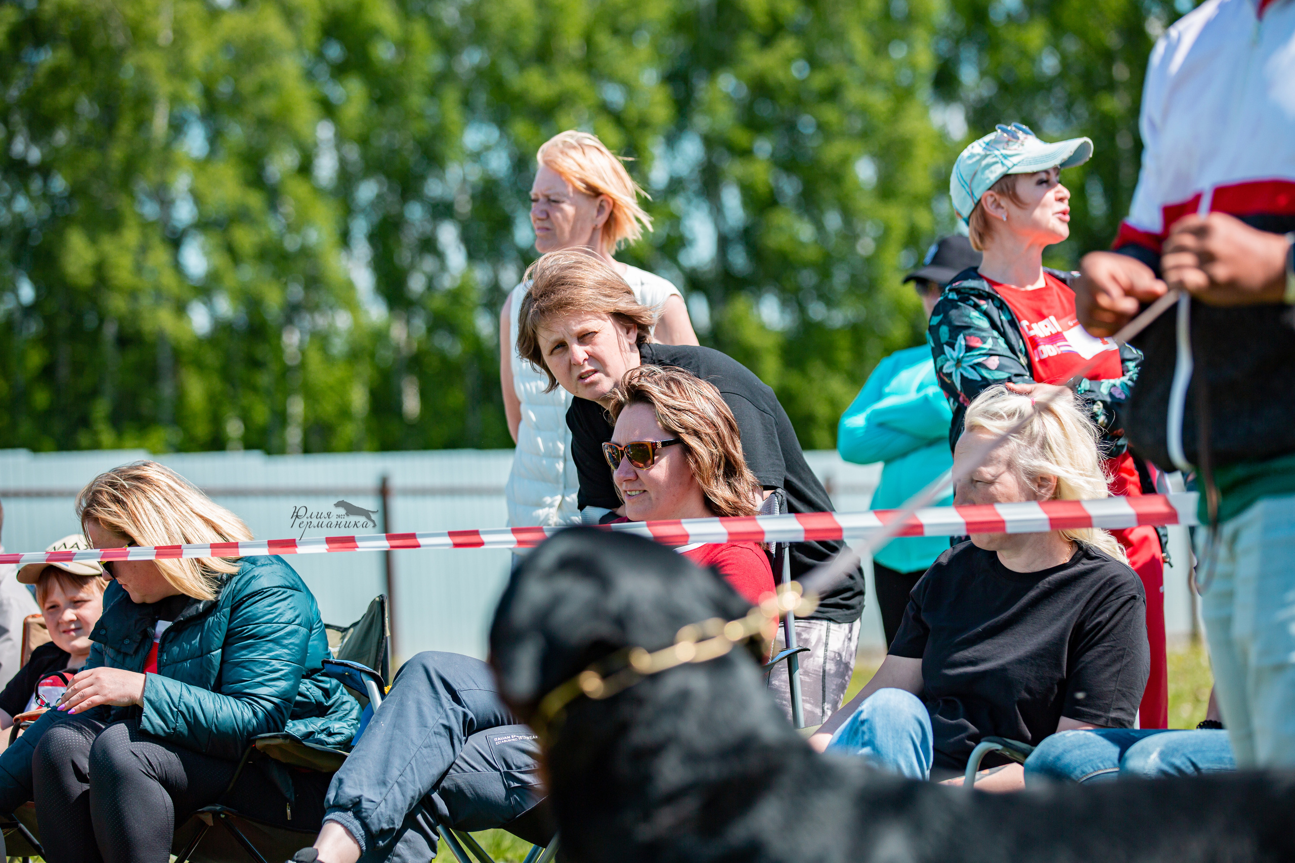 Нижний Новгород моно ротвейлеров 4 июня 2022. Фотограф-анималист Юлия Германика