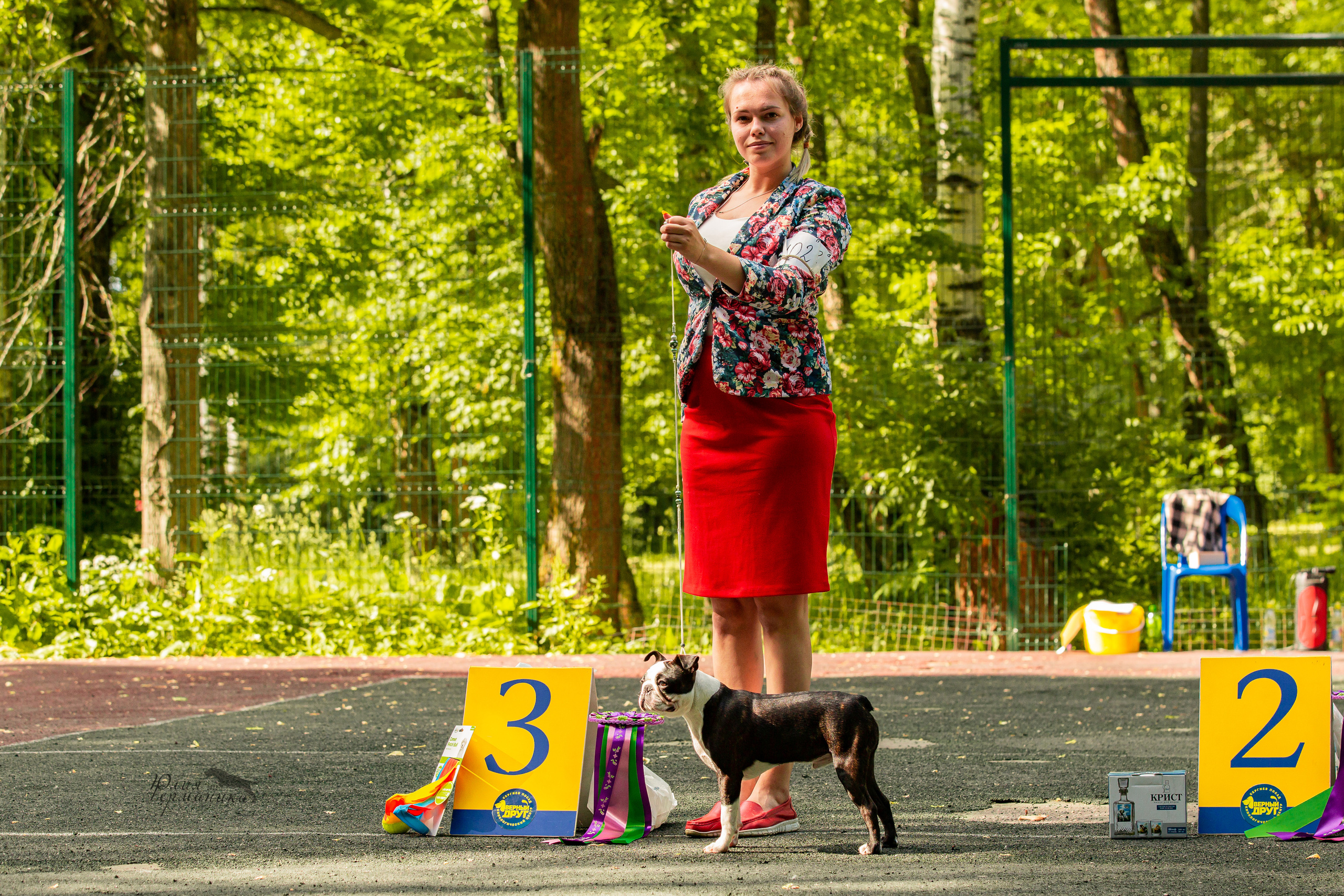 Сергиев Посад 2хСАС 25.06.2022. Фотограф-анималист Юлия Германика