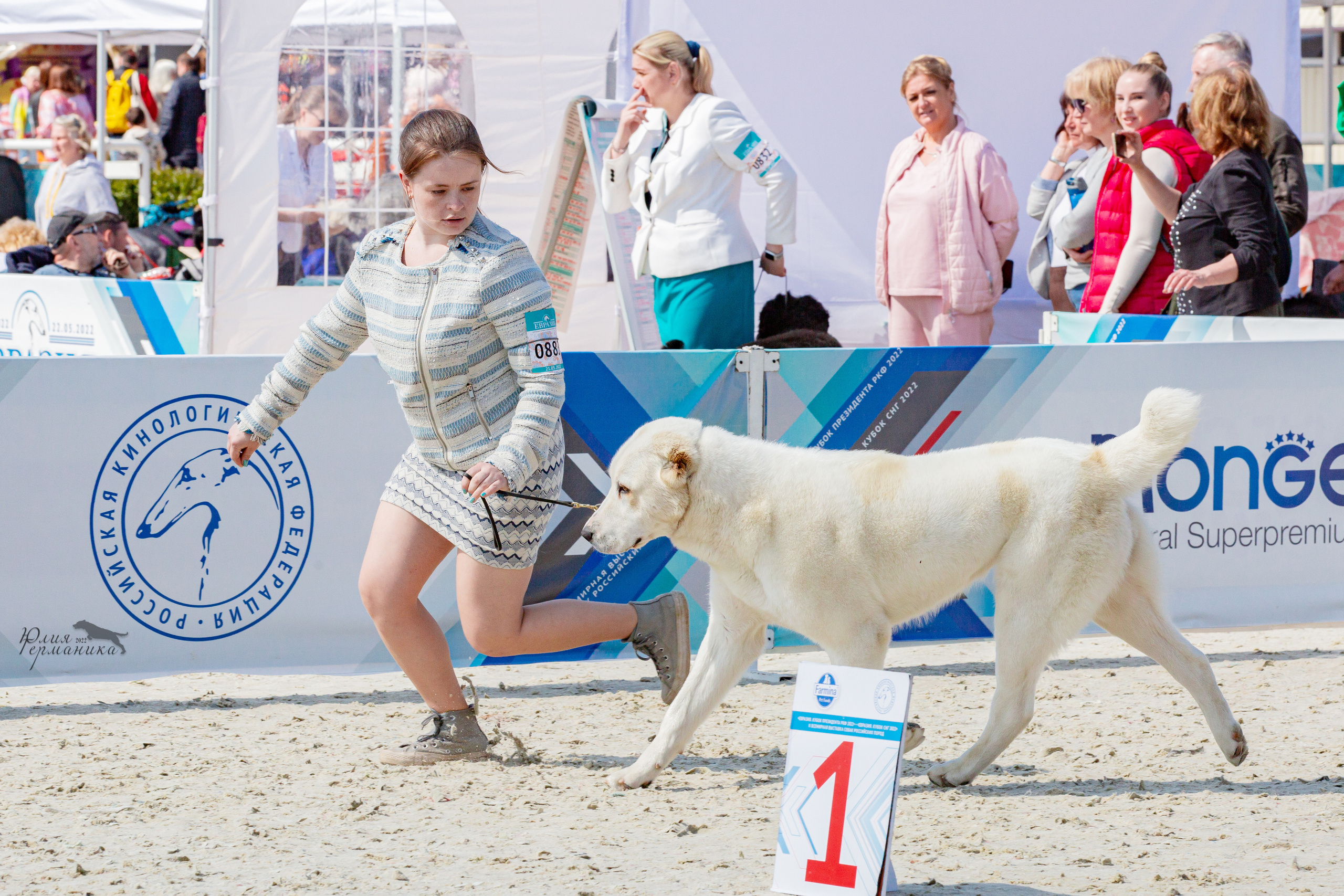 Евразия 21-22 мая 2022. Фотограф-анималист Юлия Германика