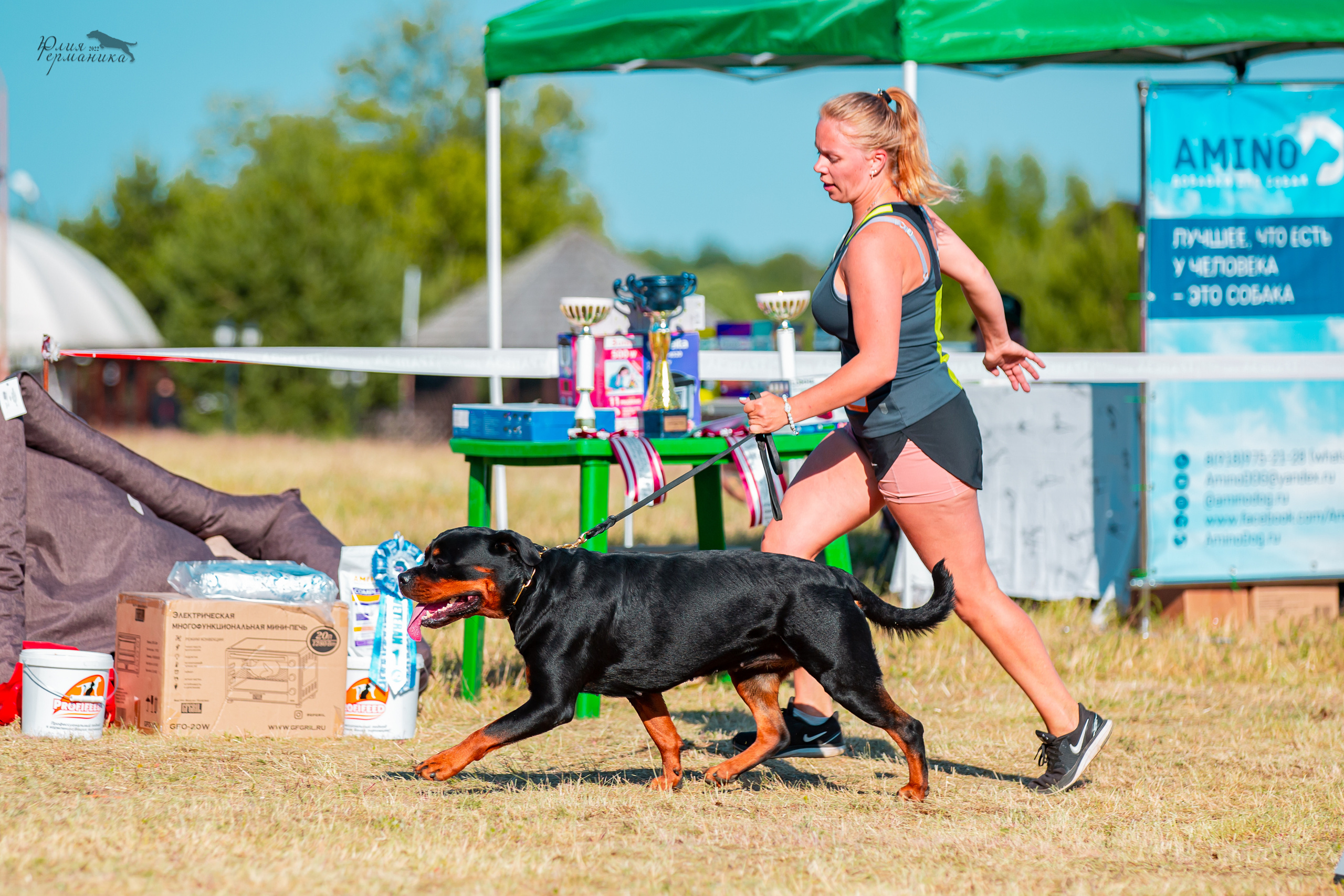 Тверь моно ротвейлеров 2-3.07.2022. Фотограф-анималист Юлия Германика