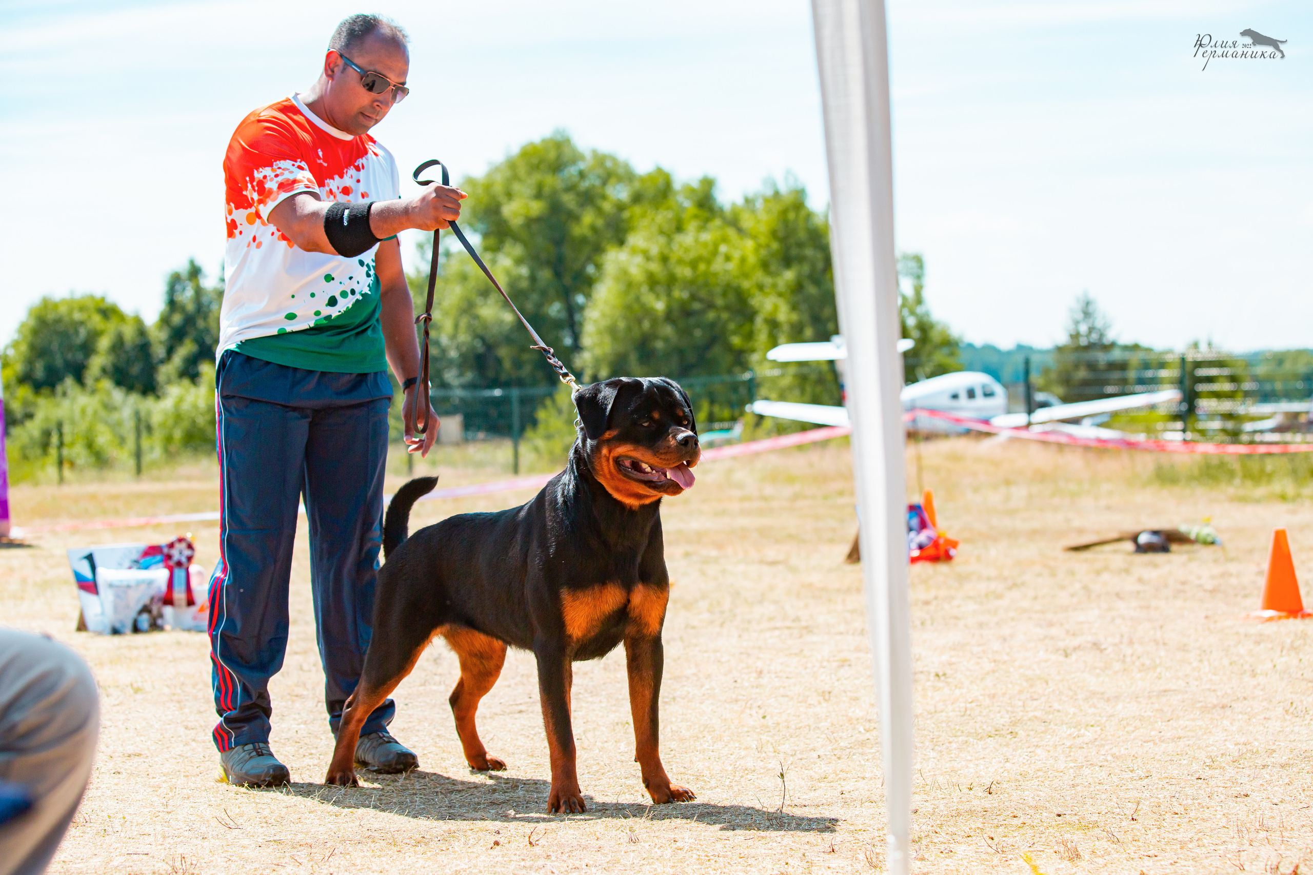 Тверь моно ротвейлеров 2-3.07.2022. Фотограф-анималист Юлия Германика