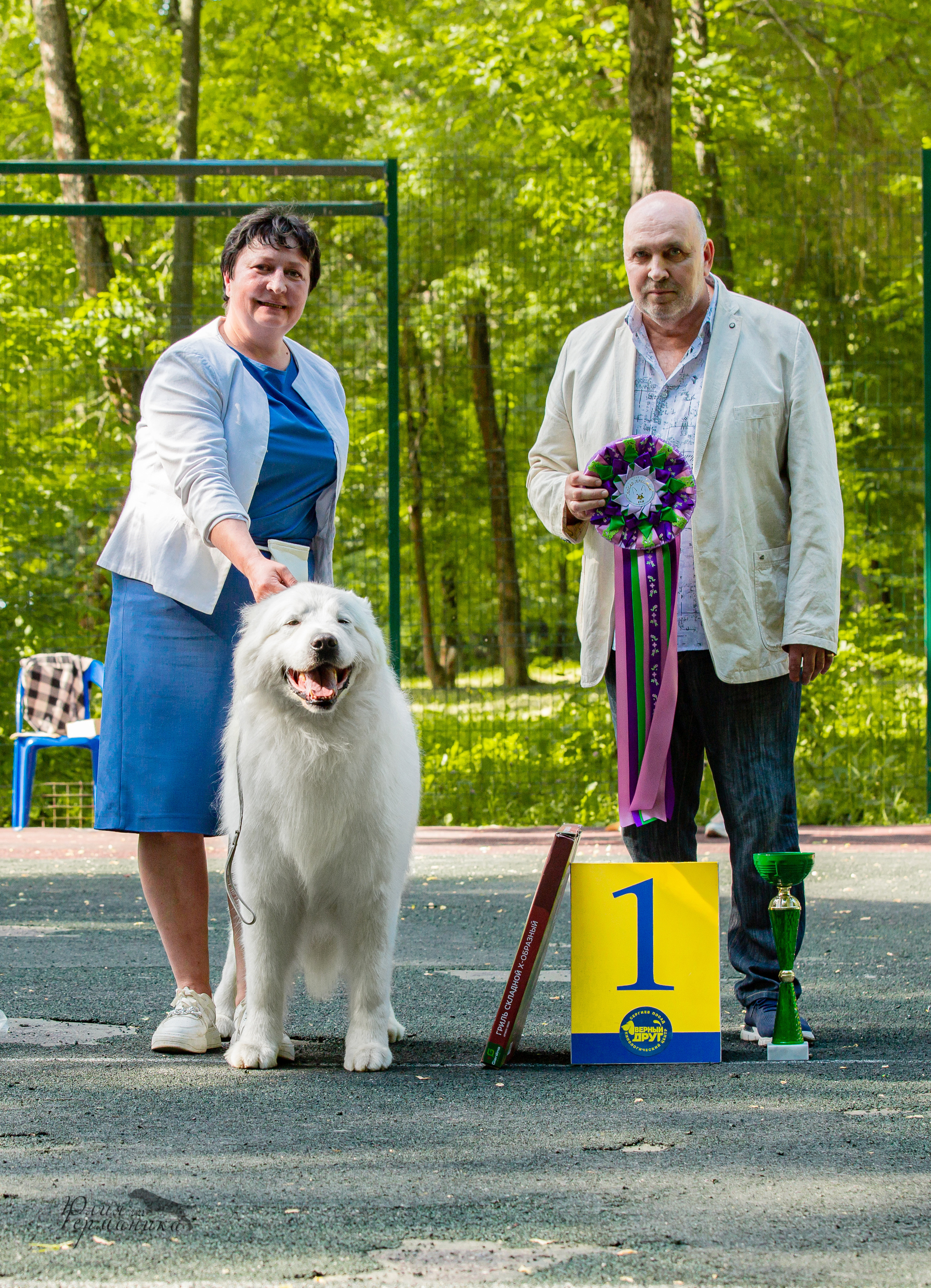 Сергиев Посад 2хСАС 25.06.2022. Фотограф-анималист Юлия Германика
