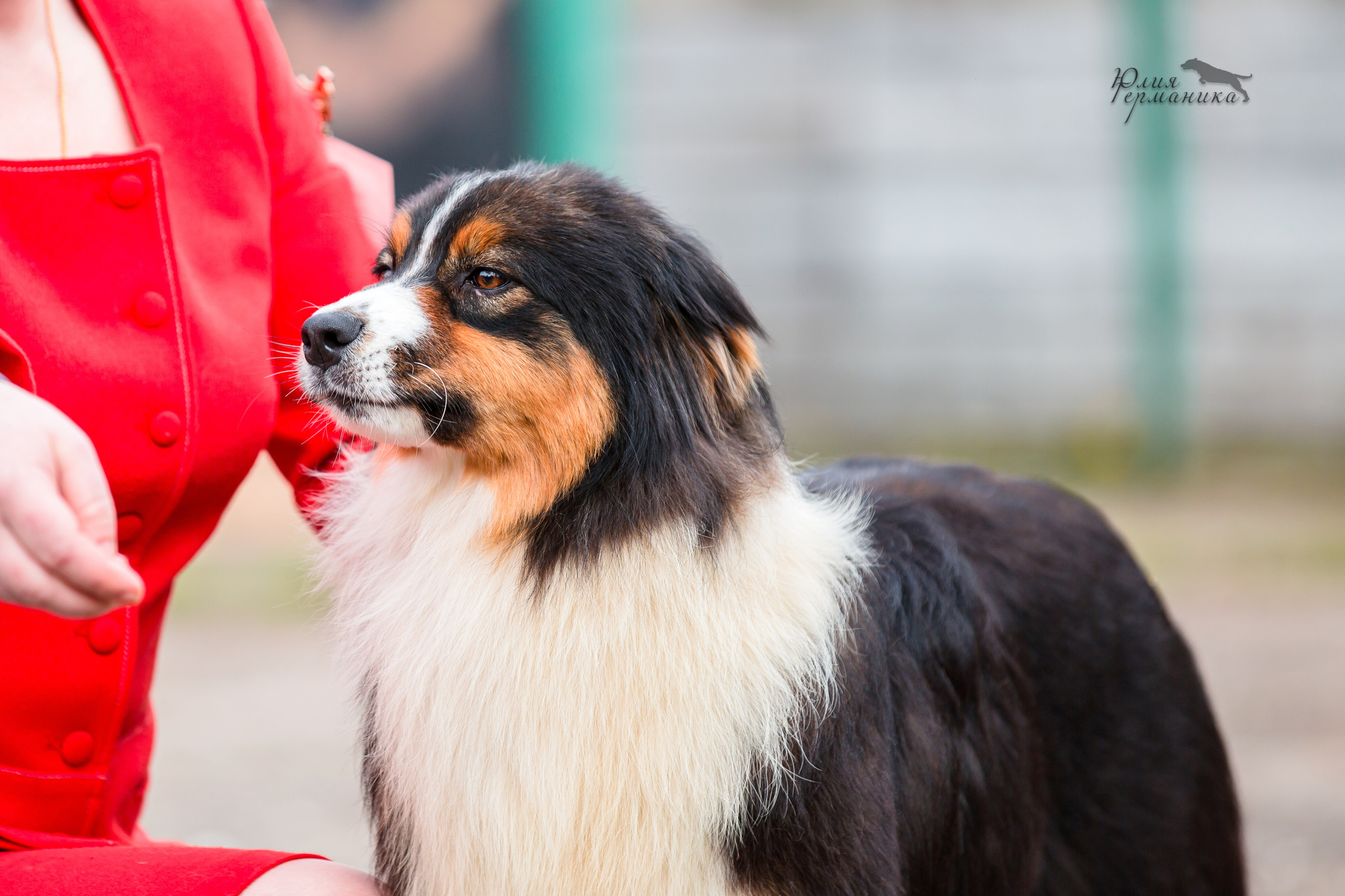 Александров 2хСАС 8 мая 2022. Фотограф-анималист Юлия Германика