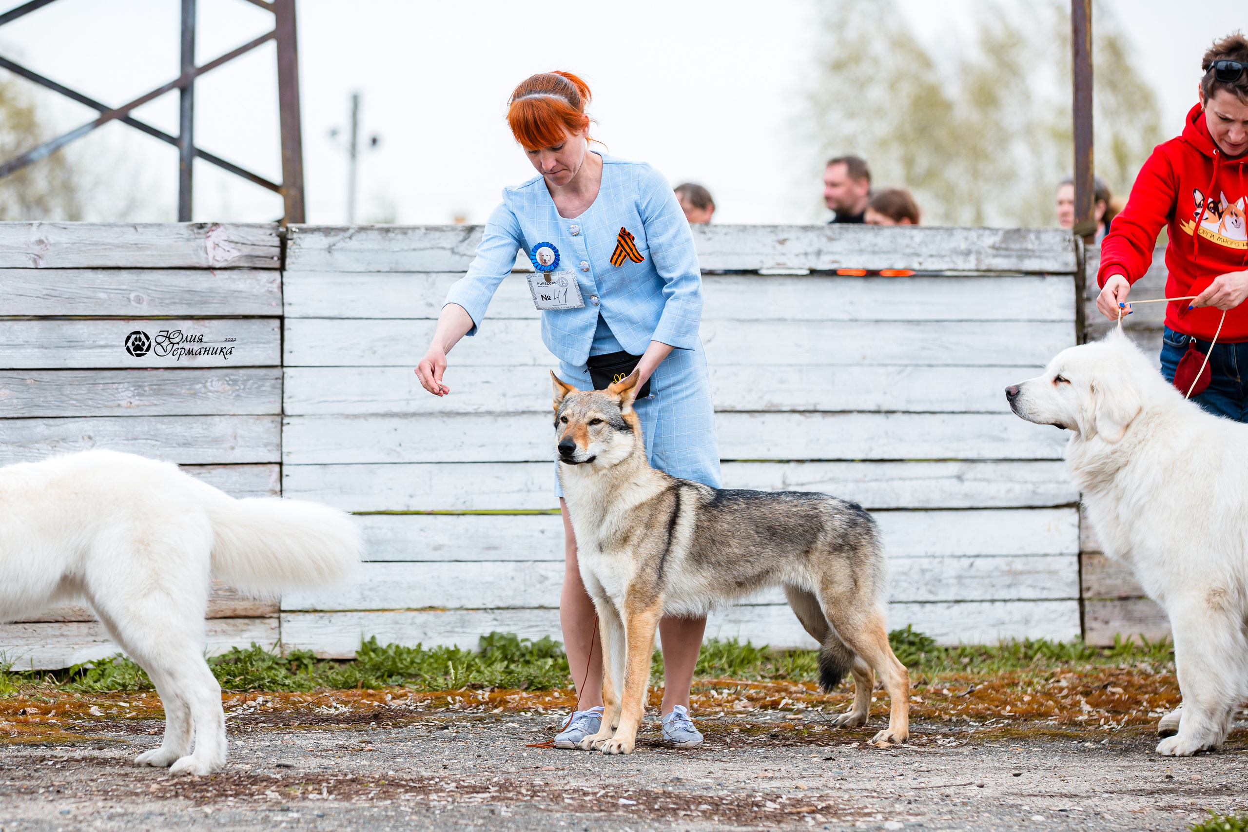 Александров 2хСАС 8 мая 2022. Фотограф-анималист Юлия Германика