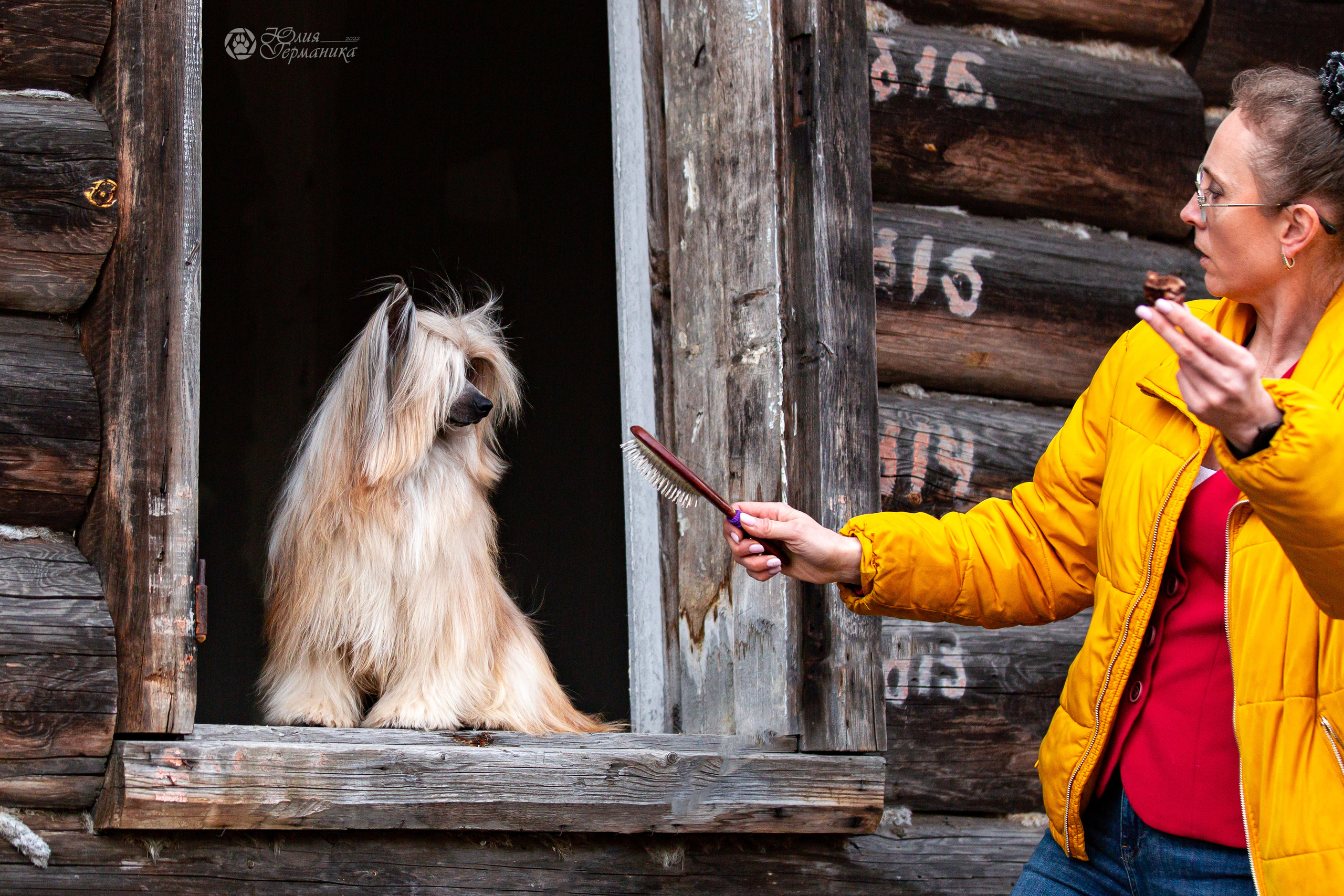 Сергиев Посад 23.04.2022. Фотограф-анималист Юлия Германика