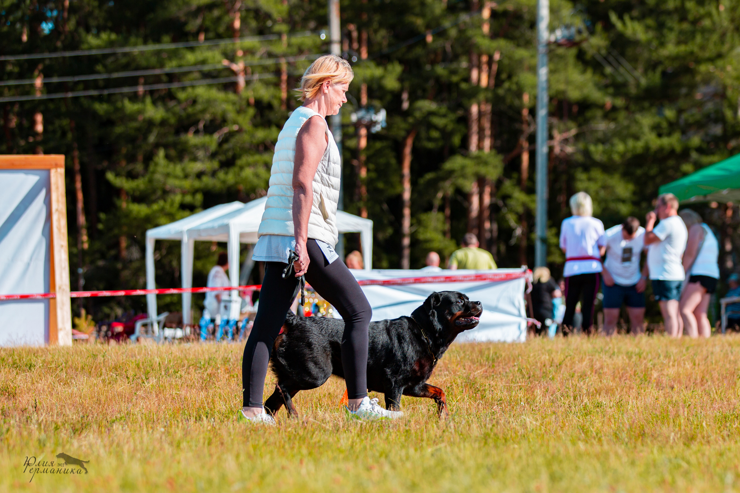 Тверь моно ротвейлеров 2-3.07.2022. Фотограф-анималист Юлия Германика
