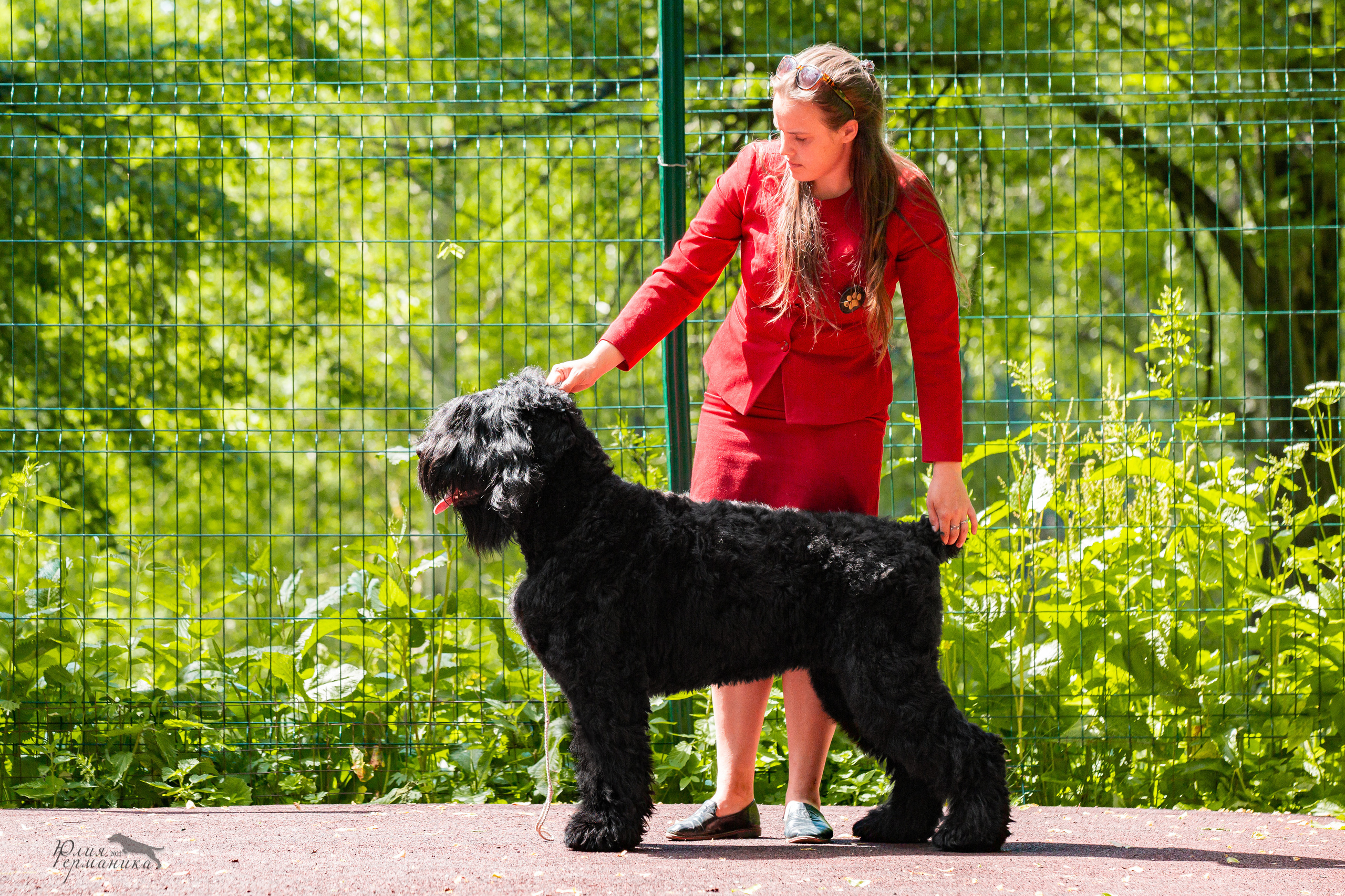 Сергиев Посад 2хСАС 25.06.2022. Фотограф-анималист Юлия Германика