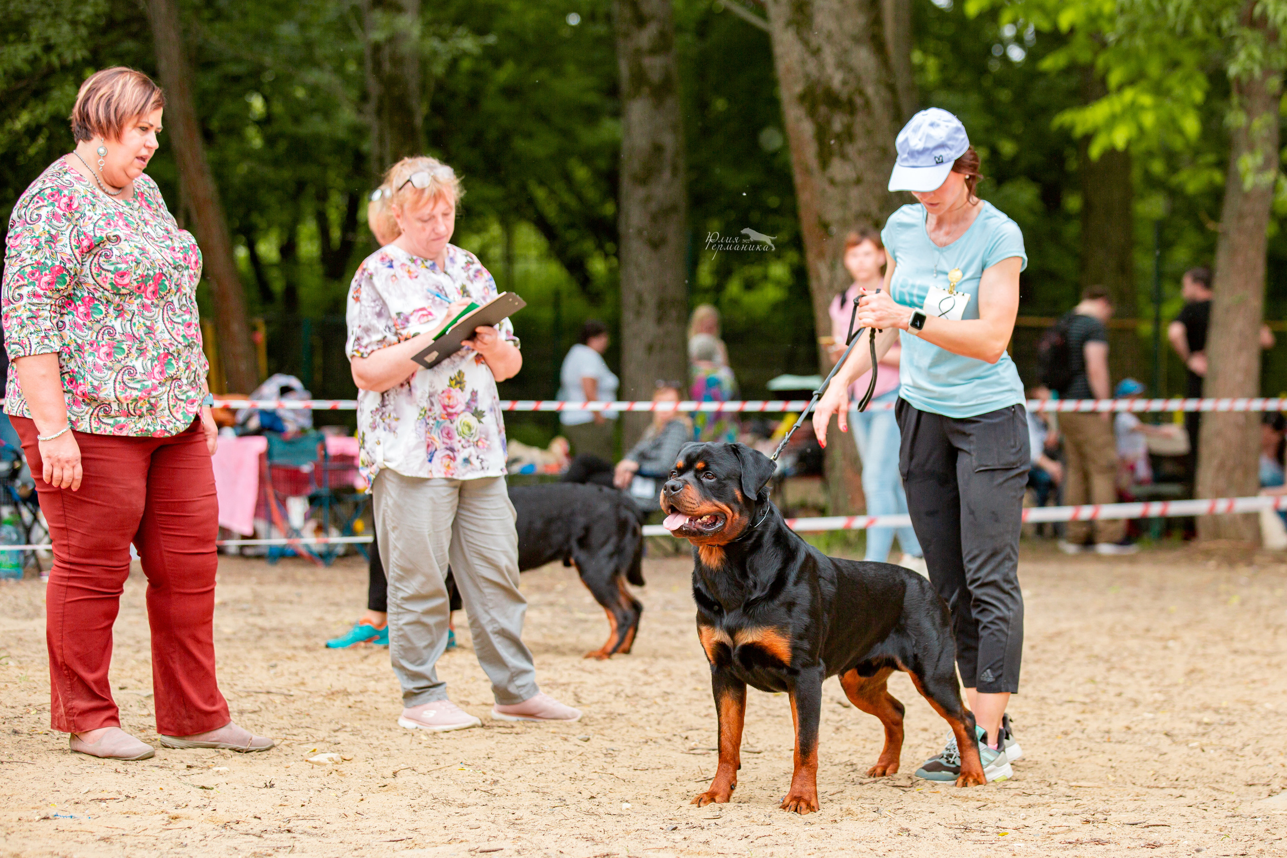 Смоленск 12.06,   Ховрино 13.06,    Питер 18.06 2022. Фотограф-анималист Юлия Германика