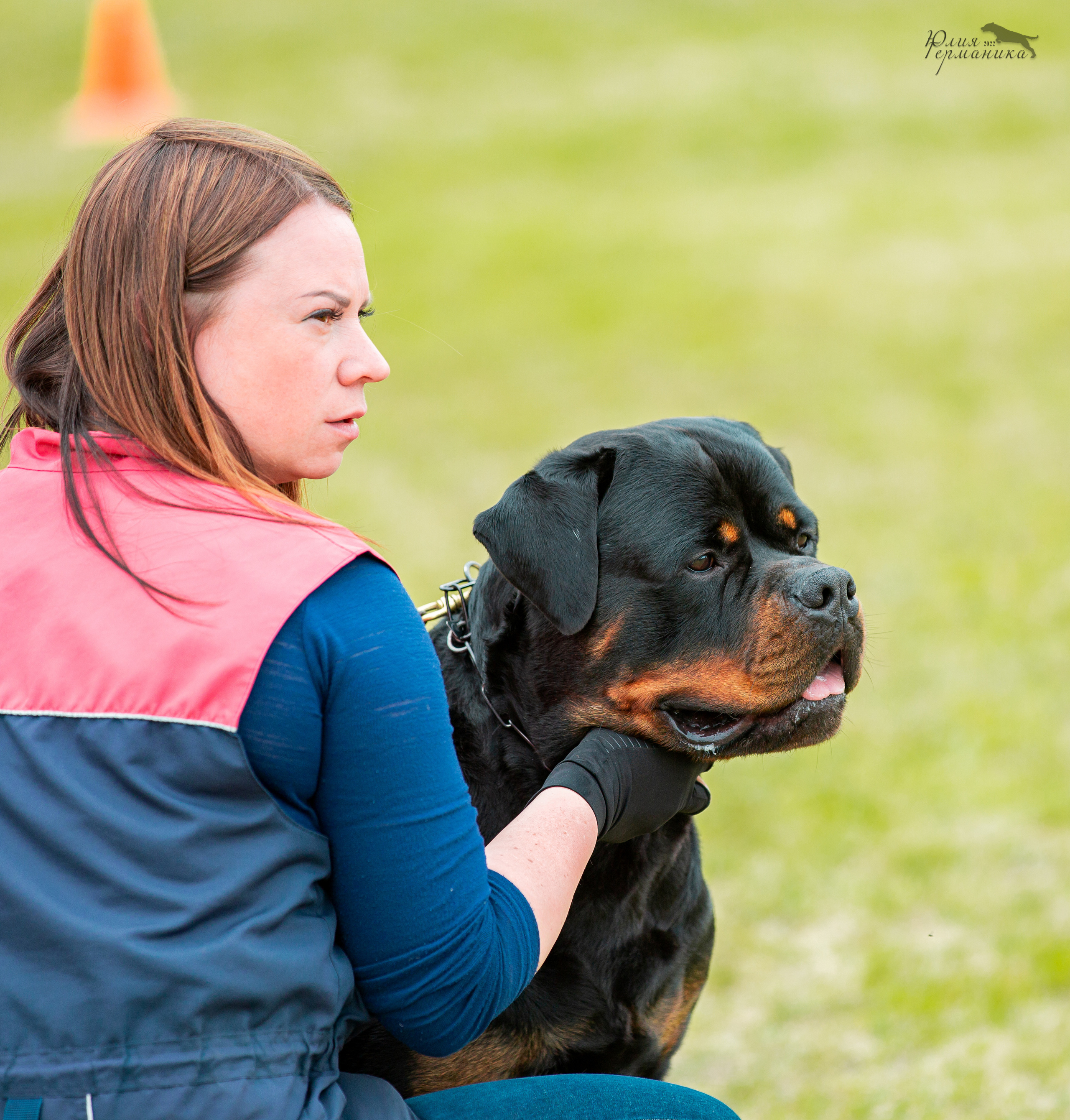 Воронеж моно ротвейлеров 28-29 мая 2022. Фотограф-анималист Юлия Германика