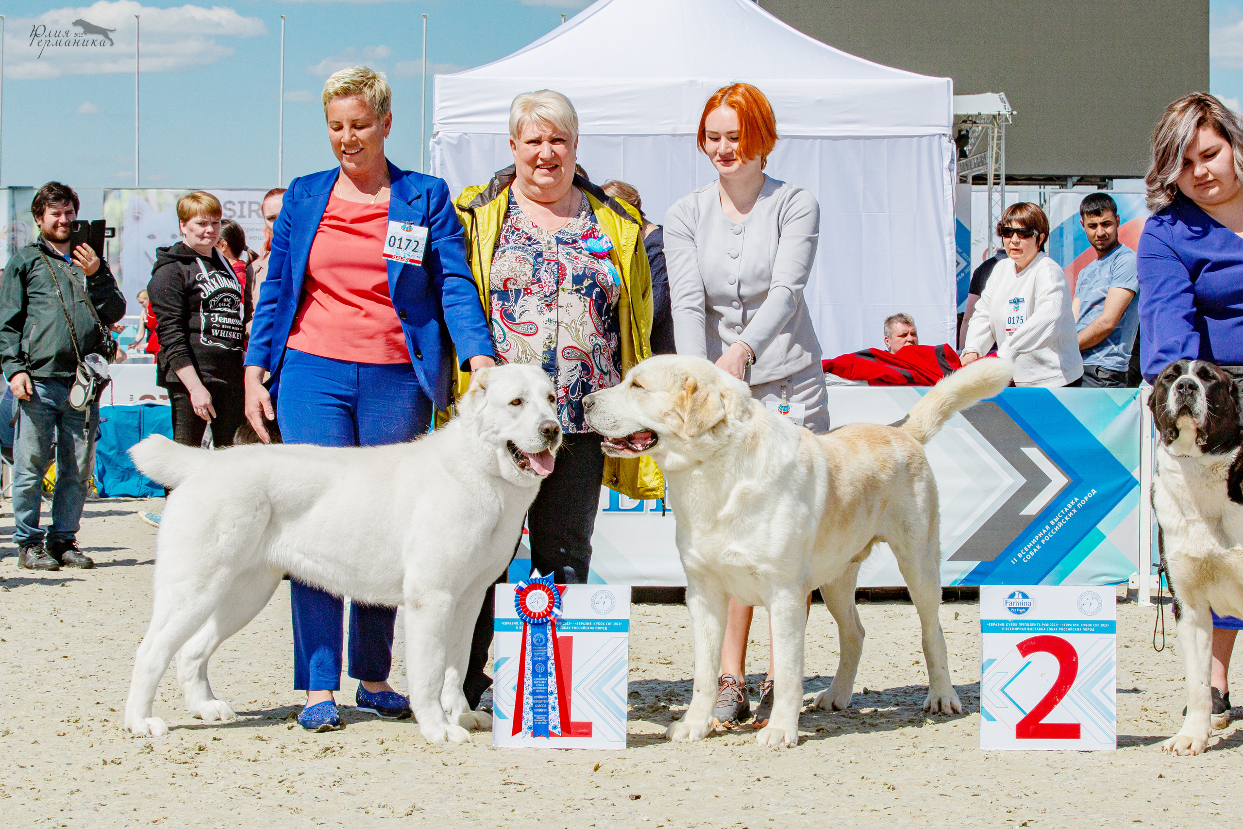 Евразия 21-22 мая 2022. Фотограф-анималист Юлия Германика