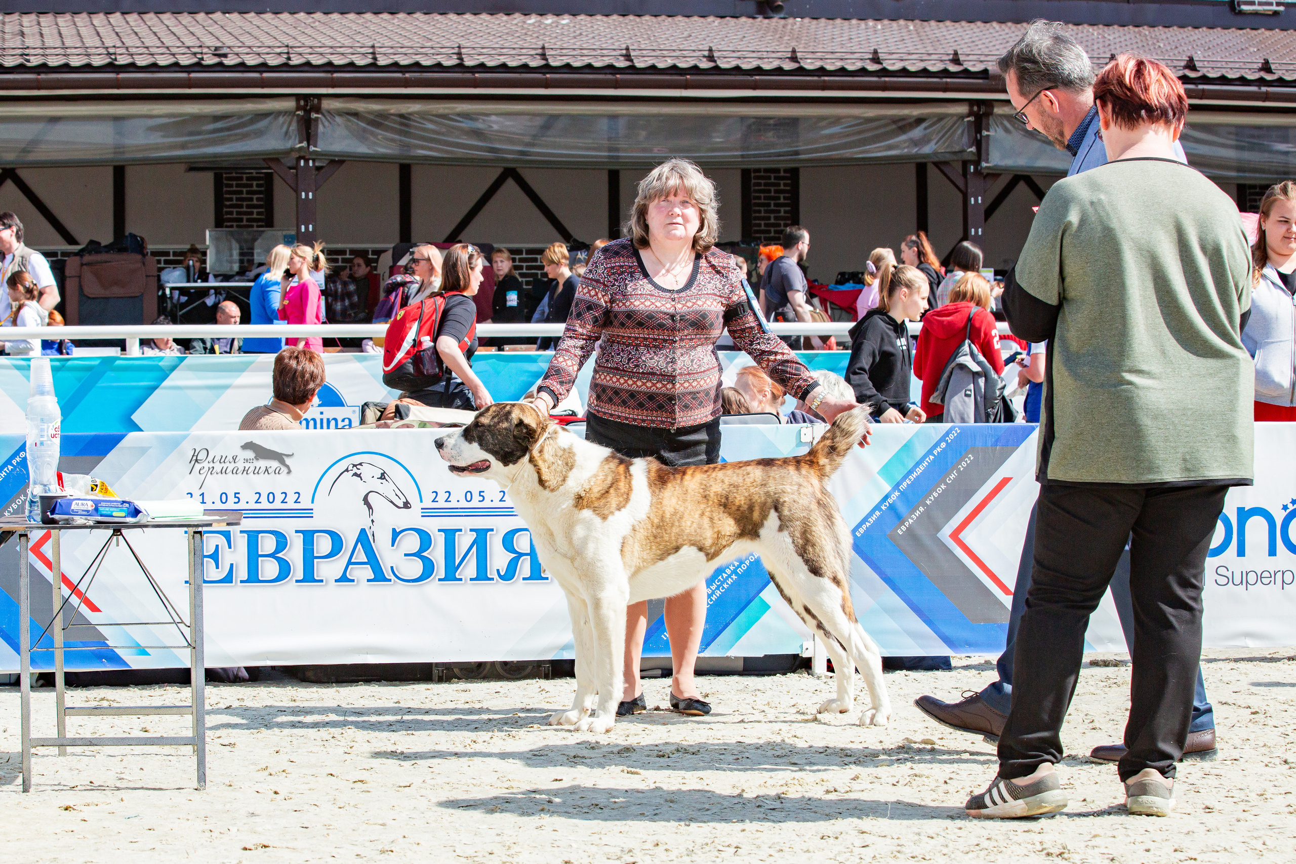 Евразия 21-22 мая 2022. Фотограф-анималист Юлия Германика