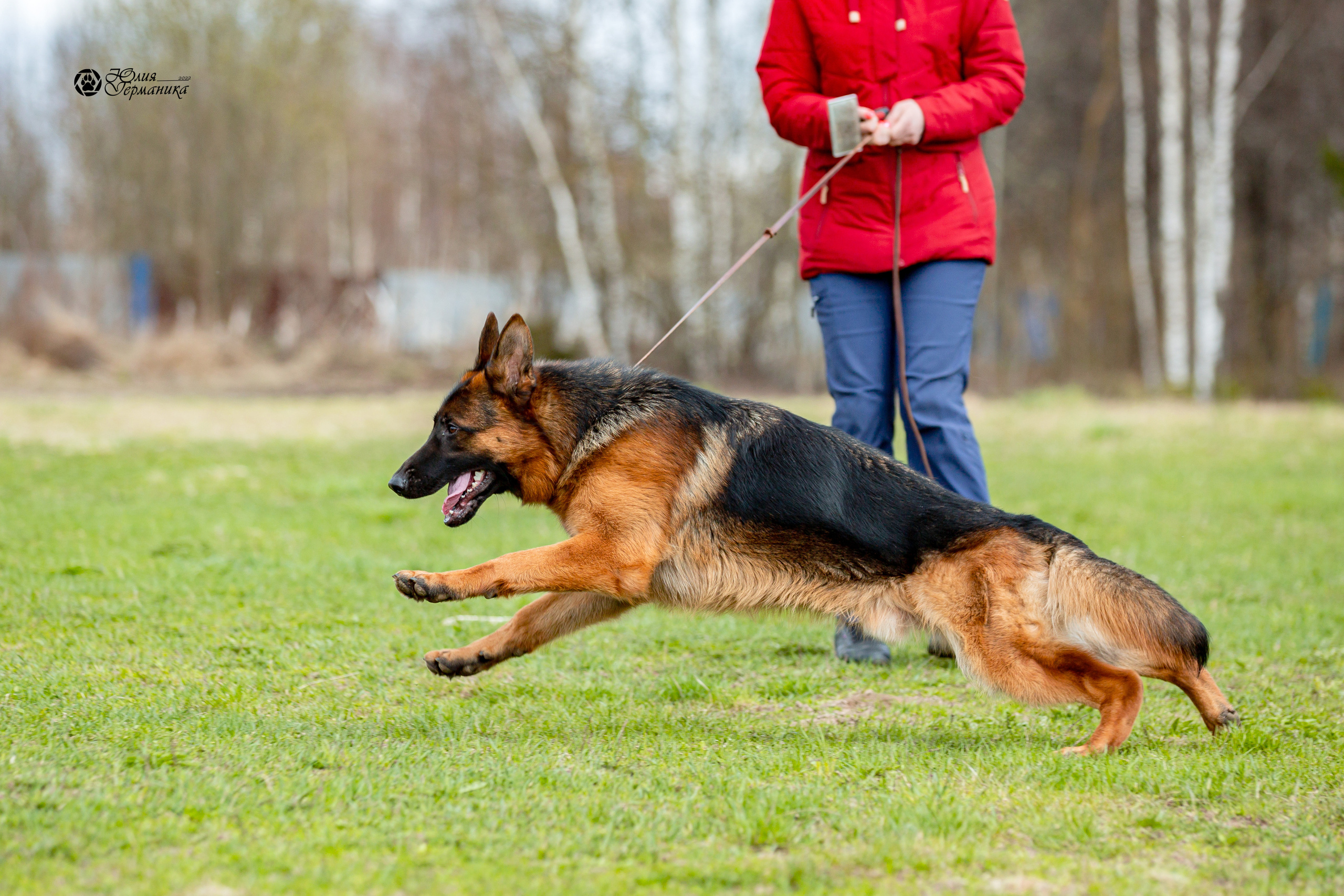 Свободная съемка. Фотограф-анималист Юлия Германика
