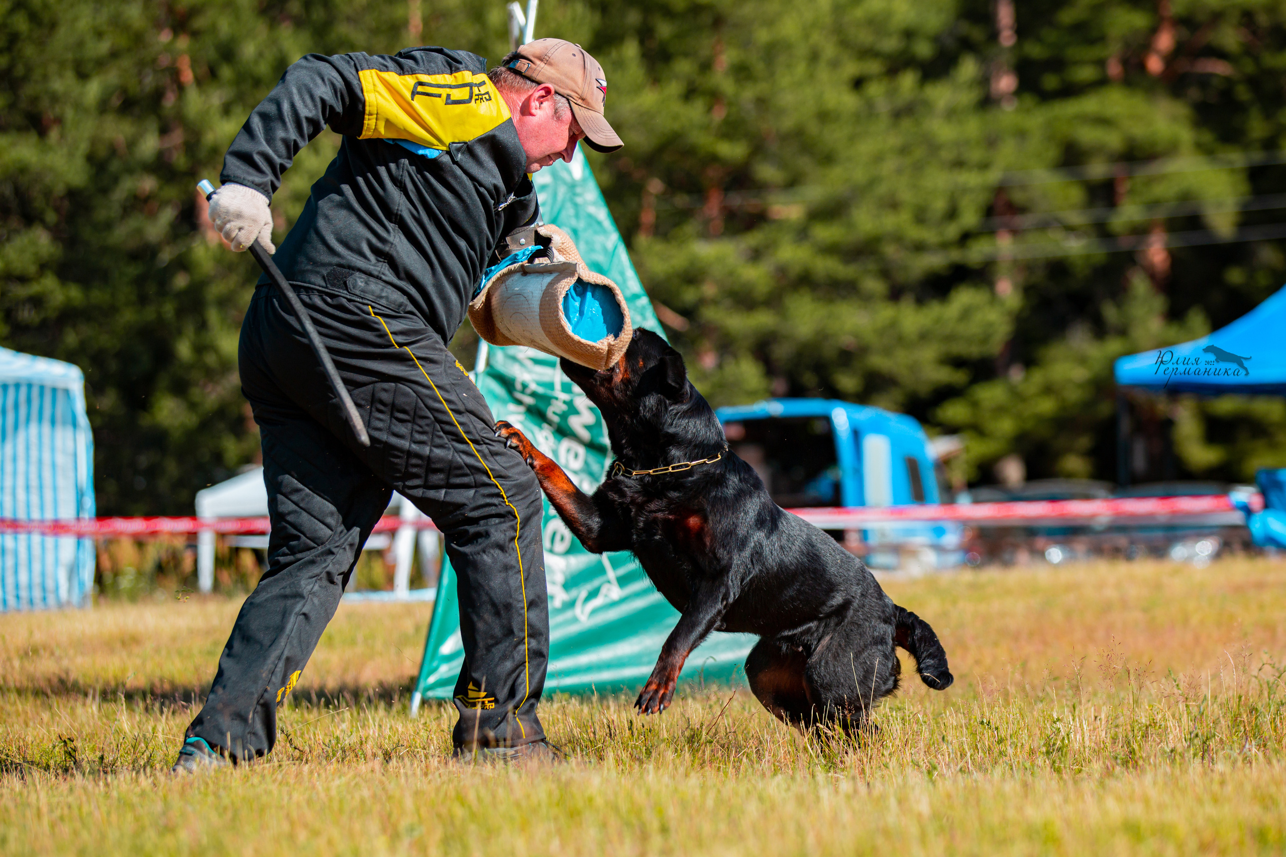 Тверь моно ротвейлеров 2-3.07.2022. Фотограф-анималист Юлия Германика