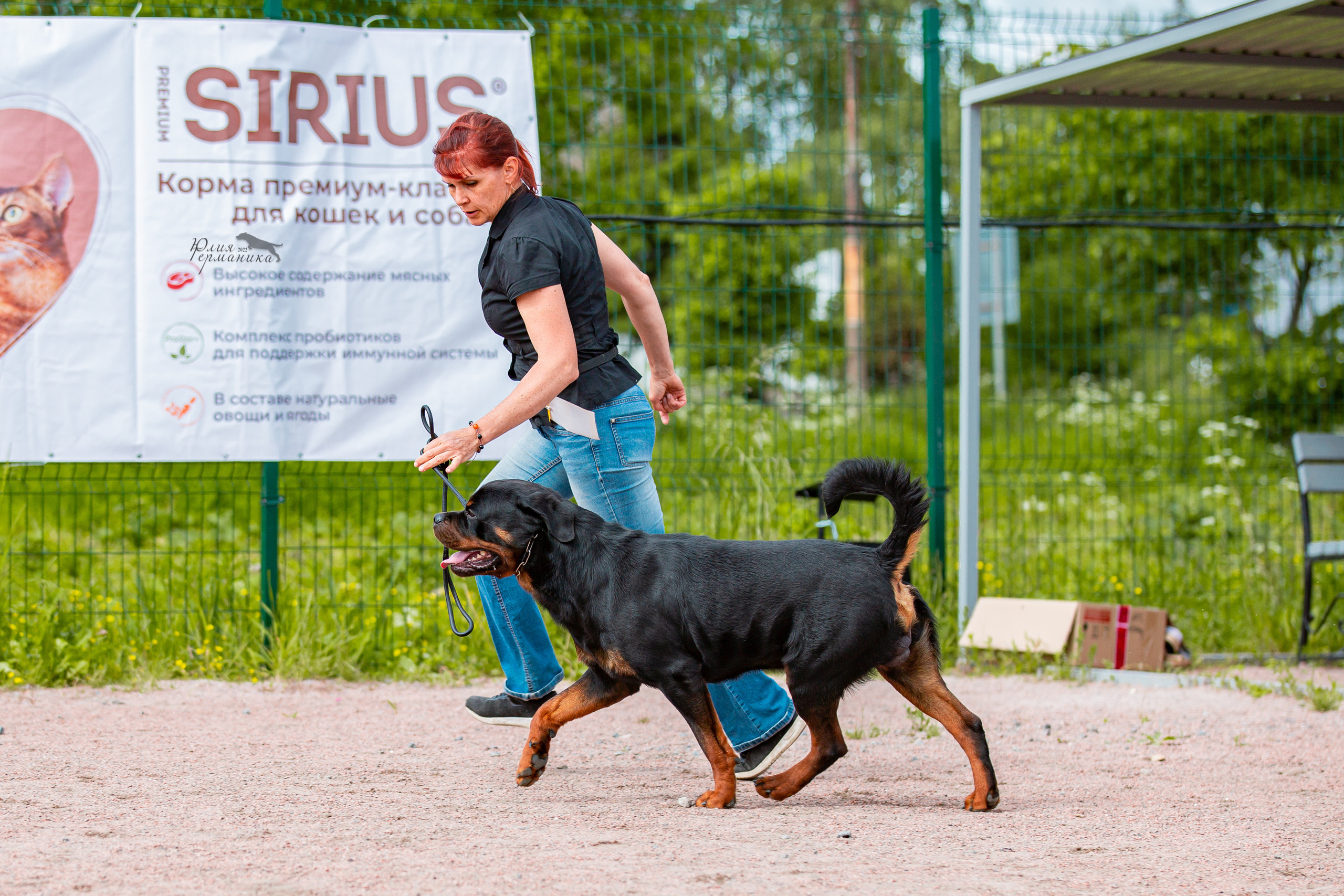 Смоленск 12.06,   Ховрино 13.06,    Питер 18.06 2022. Фотограф-анималист Юлия Германика