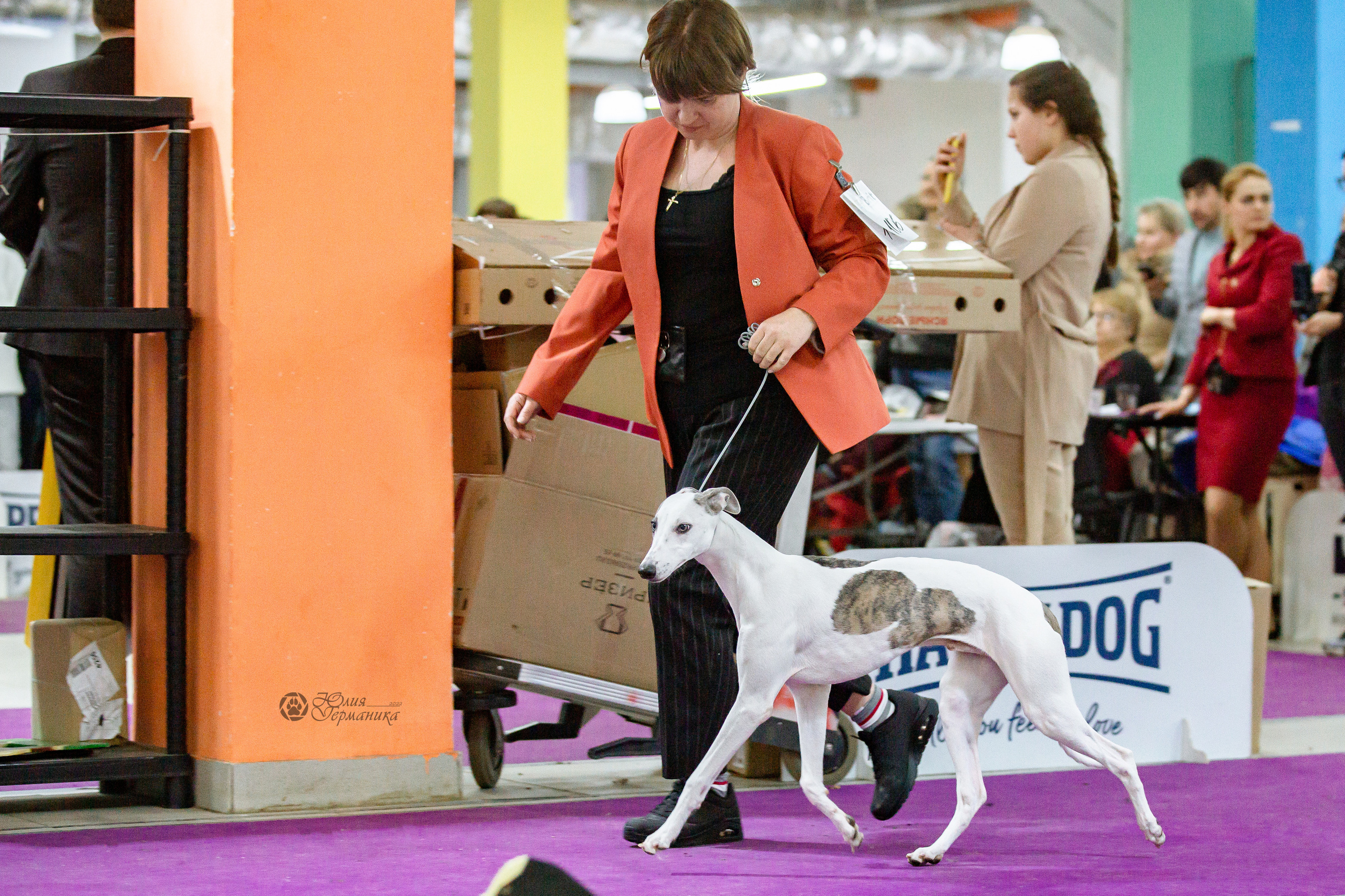 Чайна-Таун 16-17 апреля 2022. Фотограф-анималист Юлия Германика