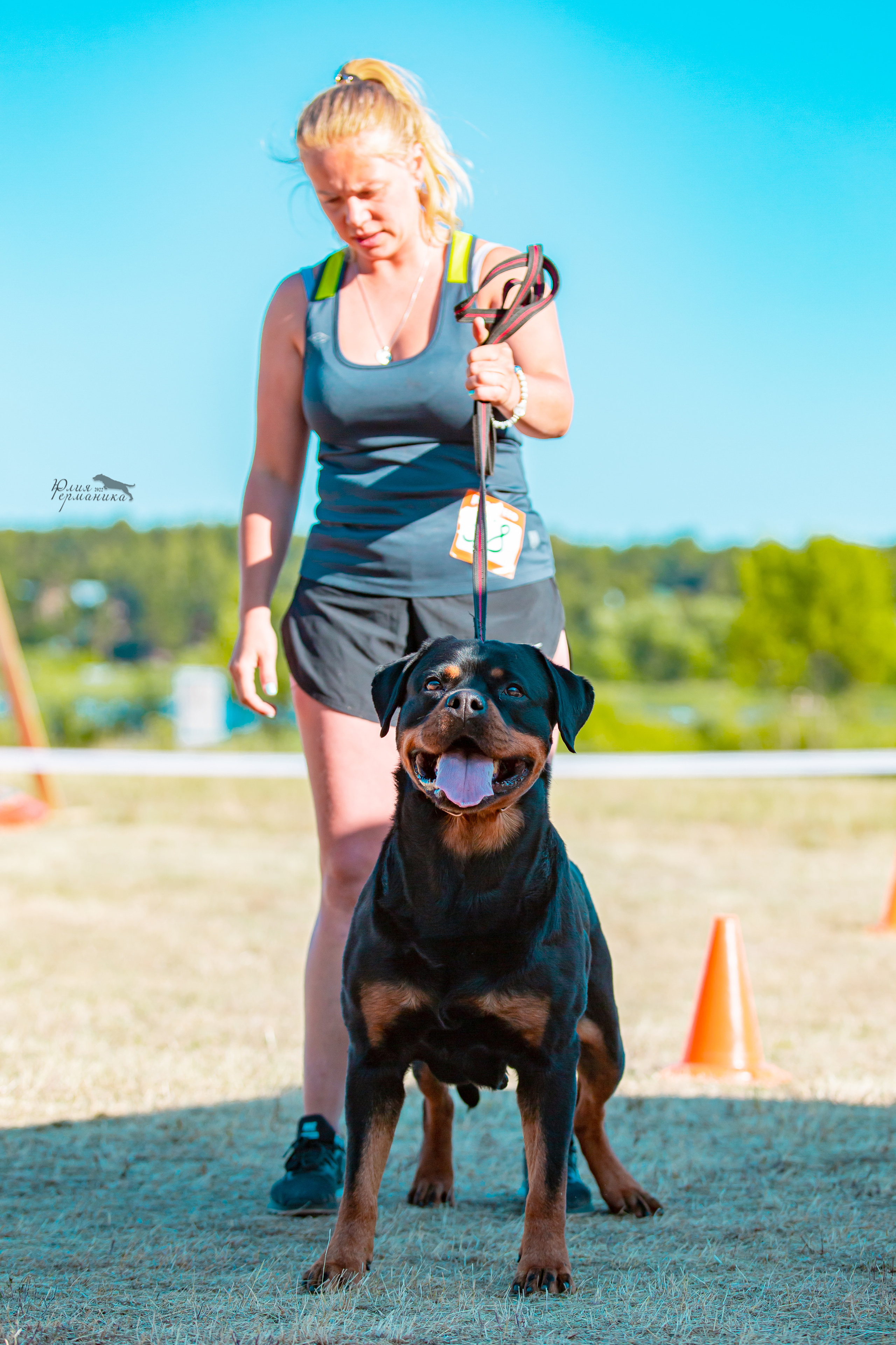 Тверь моно ротвейлеров 2-3.07.2022. Фотограф-анималист Юлия Германика