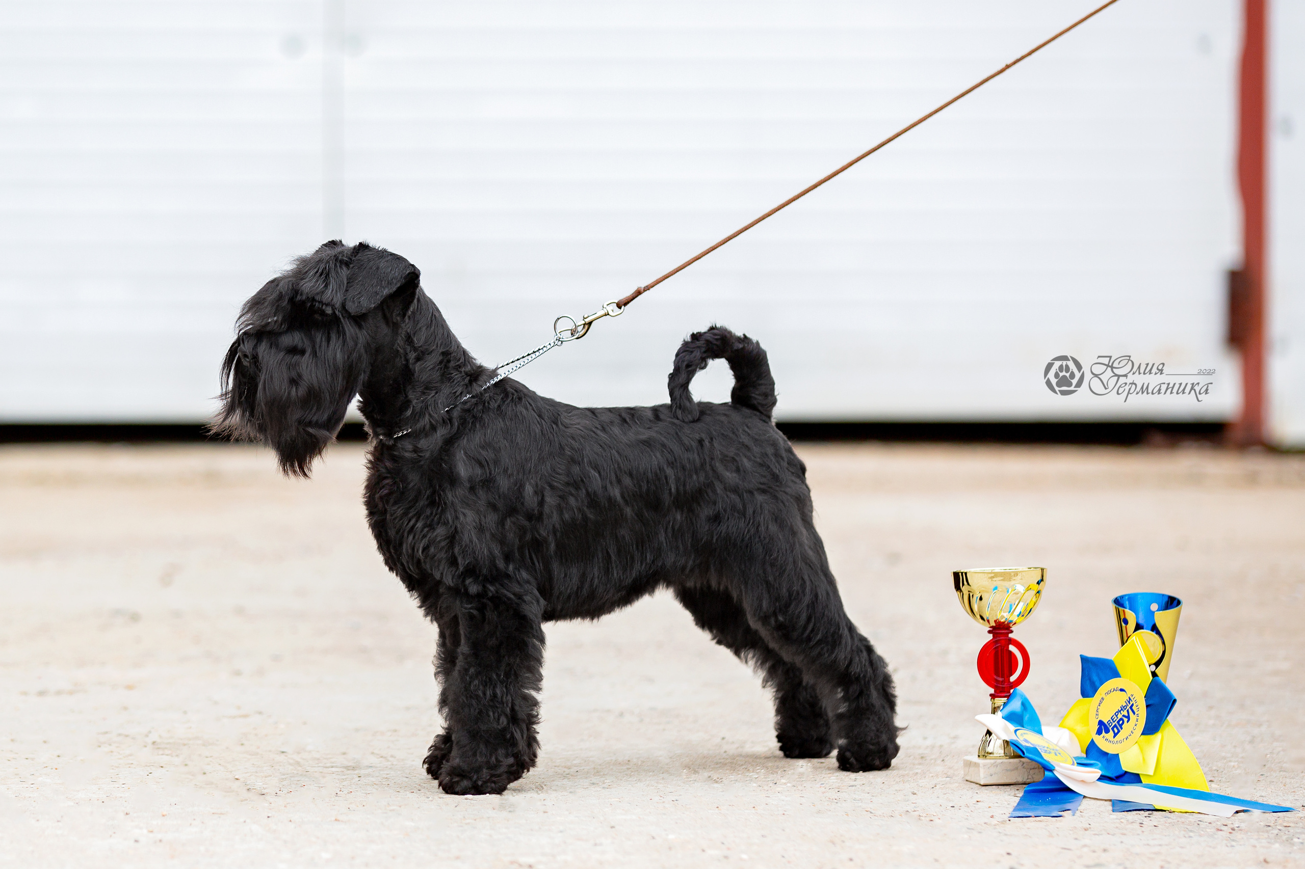 Сергиев Посад 23.04.2022. Фотограф-анималист Юлия Германика