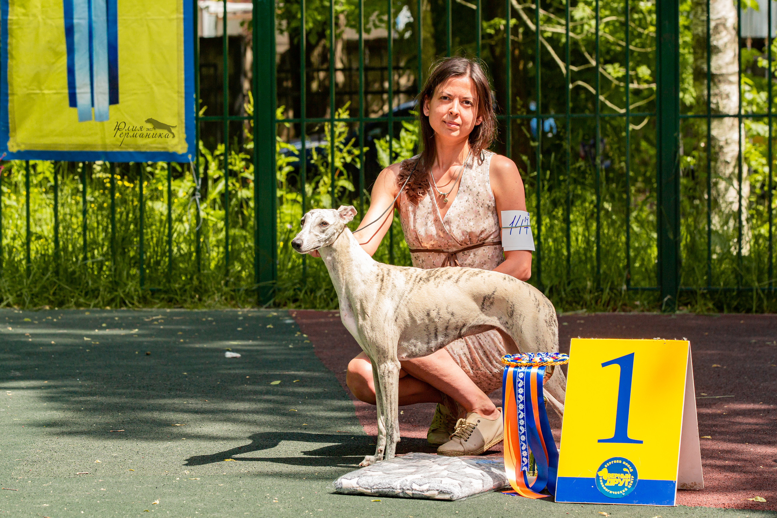 Сергиев Посад 2хСАС 25.06.2022. Фотограф-анималист Юлия Германика