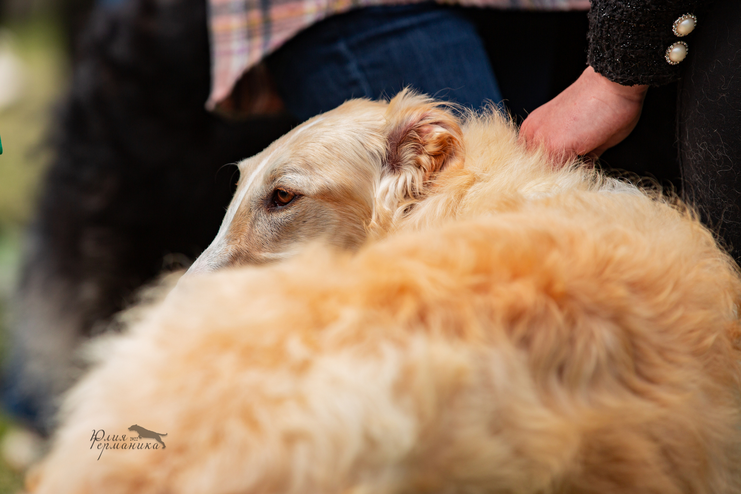 Пушкино 2хЧРКФ 14 мая 2022. Фотограф-анималист Юлия Германика