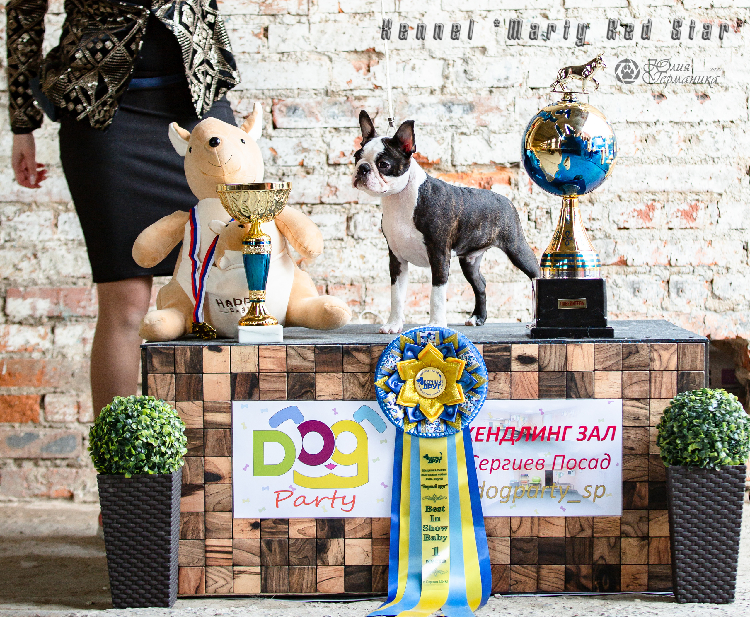 Сергиев Посад 23.04.2022. Фотограф-анималист Юлия Германика