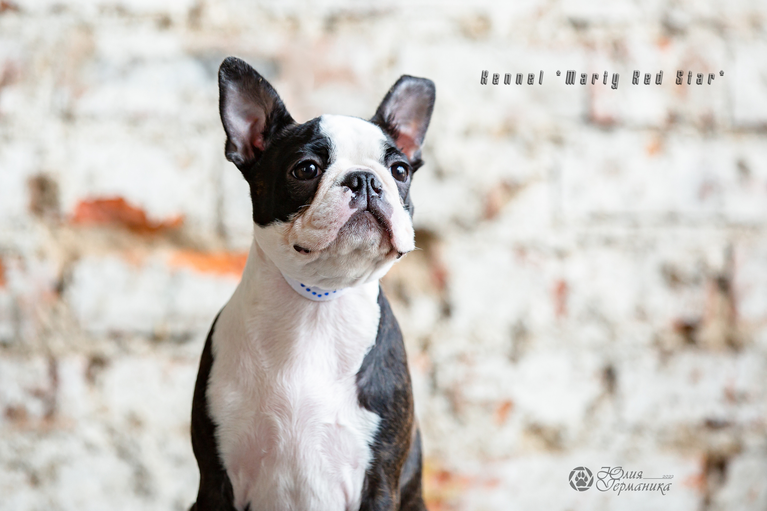 Сергиев Посад 23.04.2022. Фотограф-анималист Юлия Германика