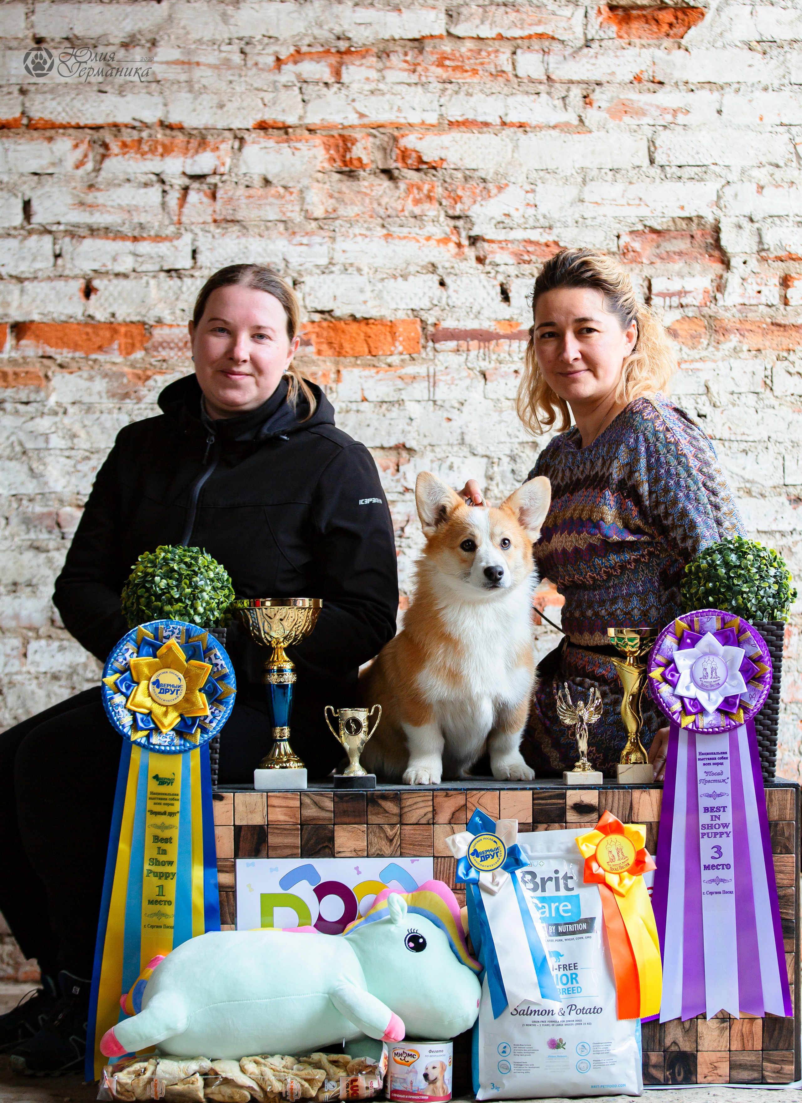 Сергиев Посад 23.04.2022. Фотограф-анималист Юлия Германика