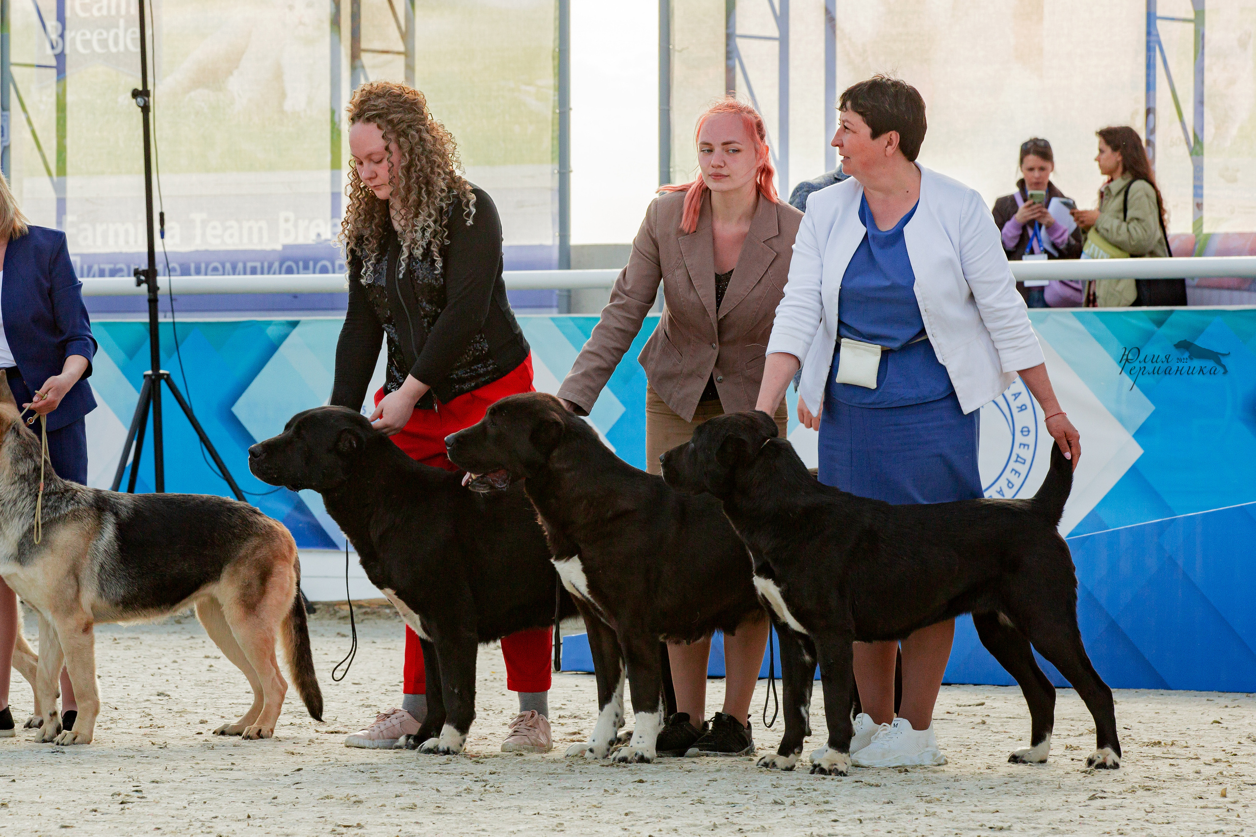 Евразия 21-22 мая 2022. Фотограф-анималист Юлия Германика