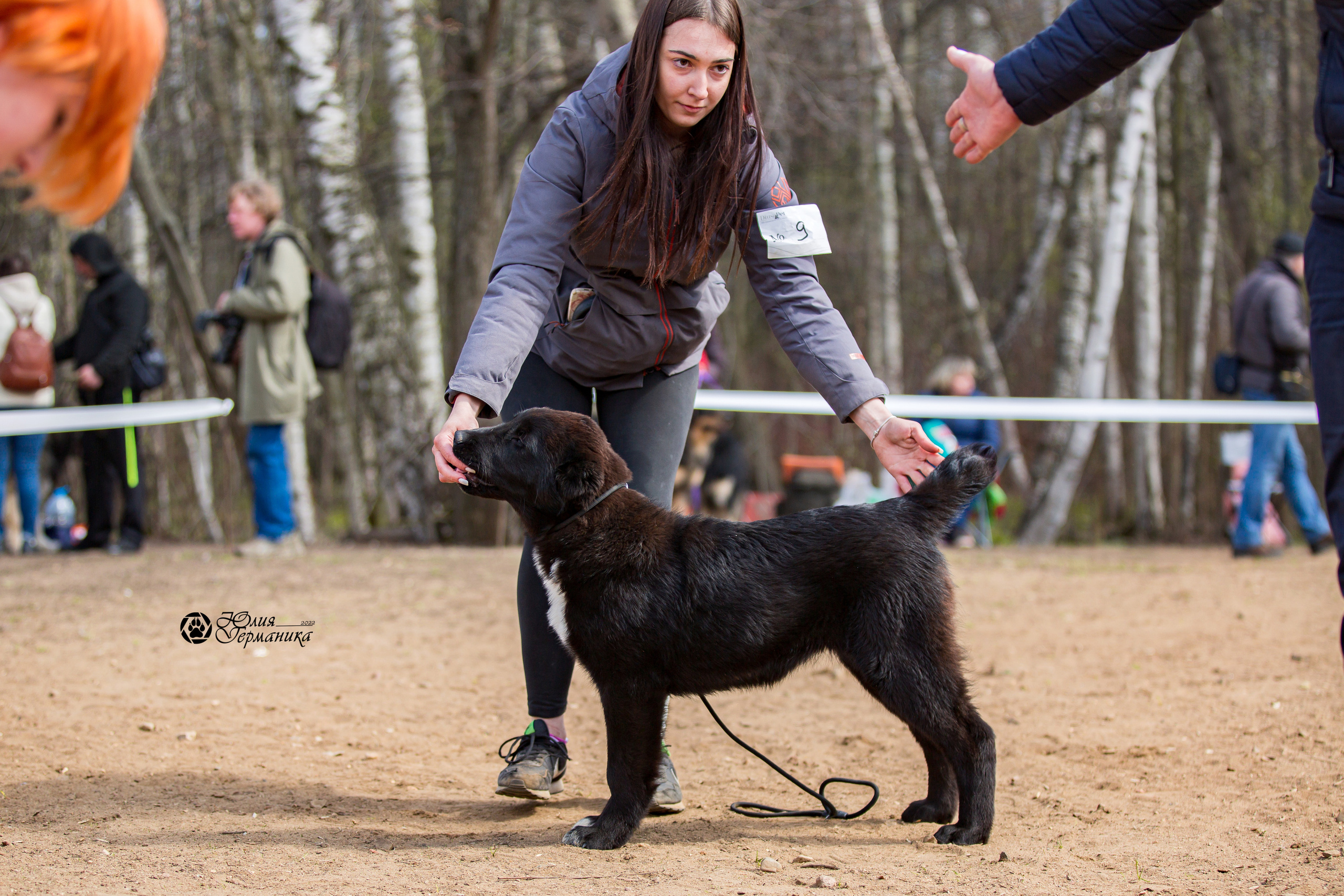 Сокольники 1 мая 2022. Фотограф-анималист Юлия Германика