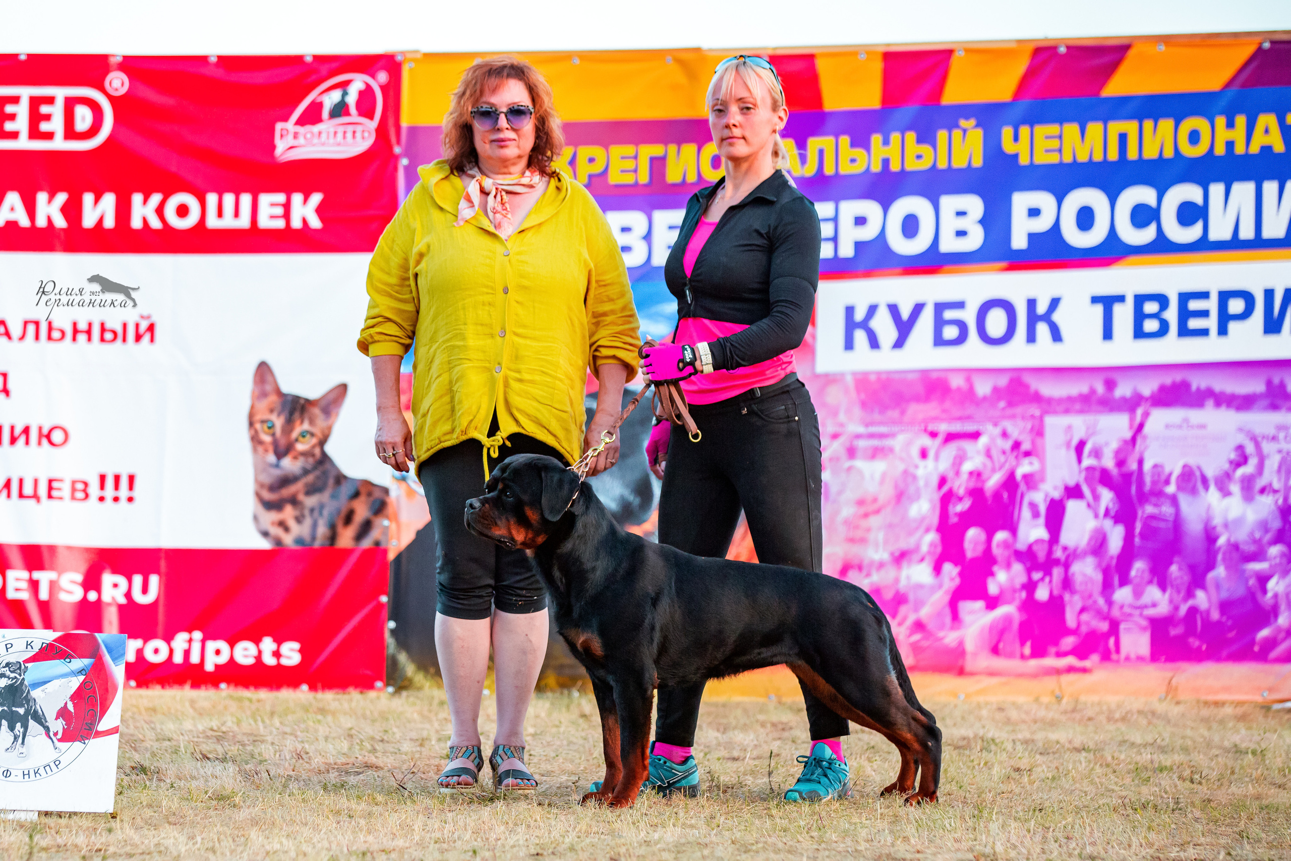 Тверь моно ротвейлеров 2-3.07.2022. Фотограф-анималист Юлия Германика