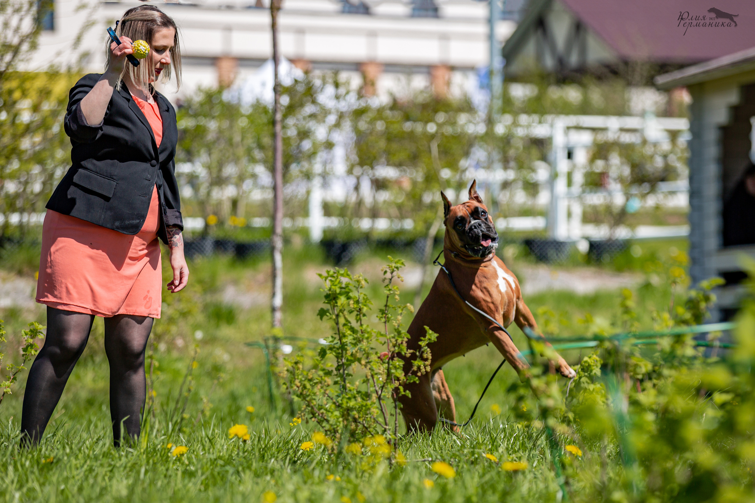 Евразия 21-22 мая 2022. Фотограф-анималист Юлия Германика