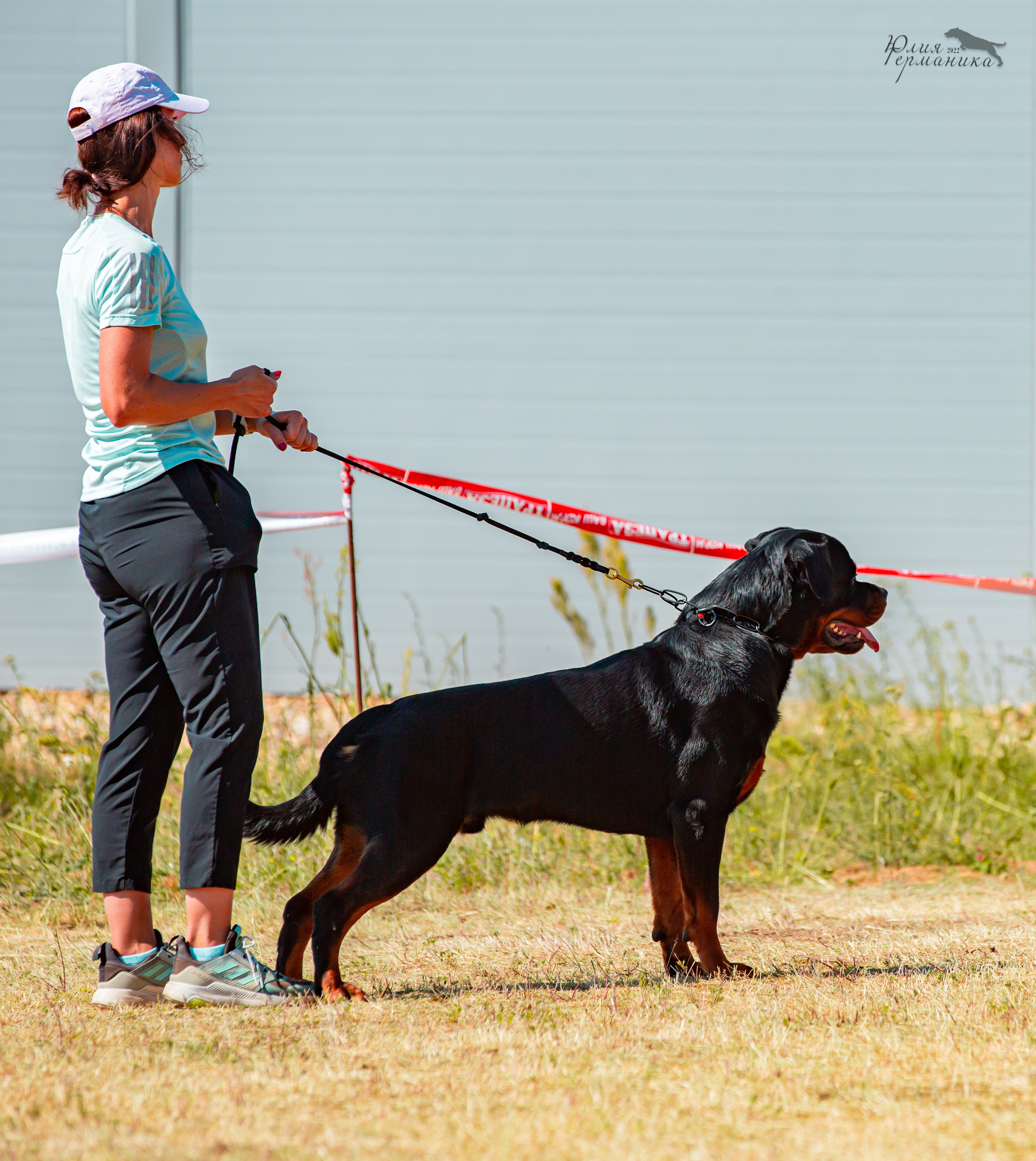 Тверь моно ротвейлеров 2-3.07.2022. Фотограф-анималист Юлия Германика