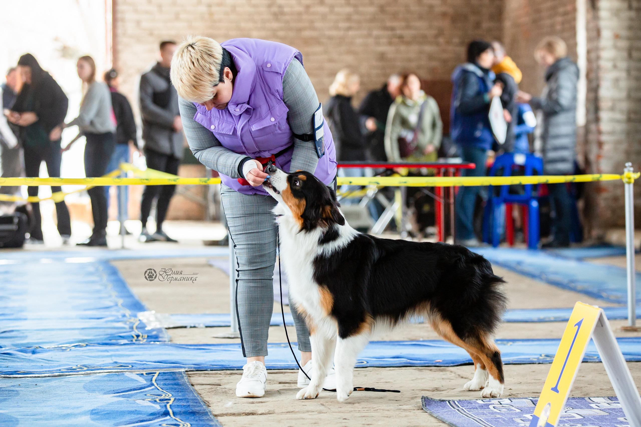 Сергиев Посад 23.04.2022. Фотограф-анималист Юлия Германика