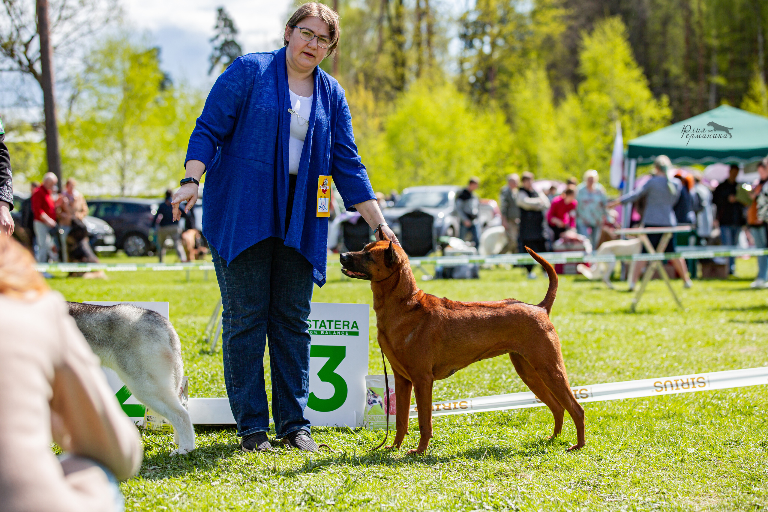 Пушкино 2хЧРКФ 14 мая 2022. Фотограф-анималист Юлия Германика