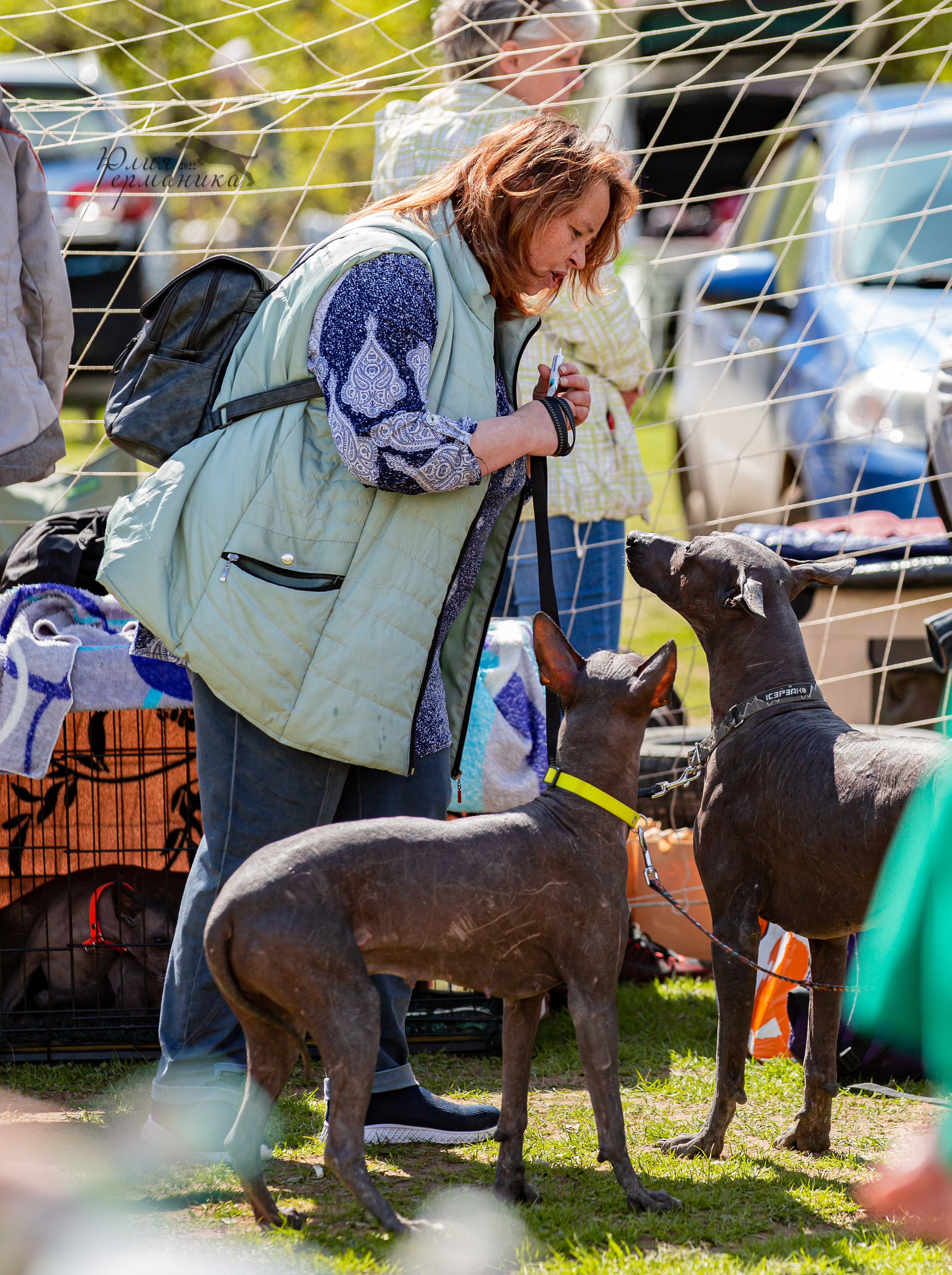 Пушкино 2хЧРКФ 14 мая 2022. Фотограф-анималист Юлия Германика