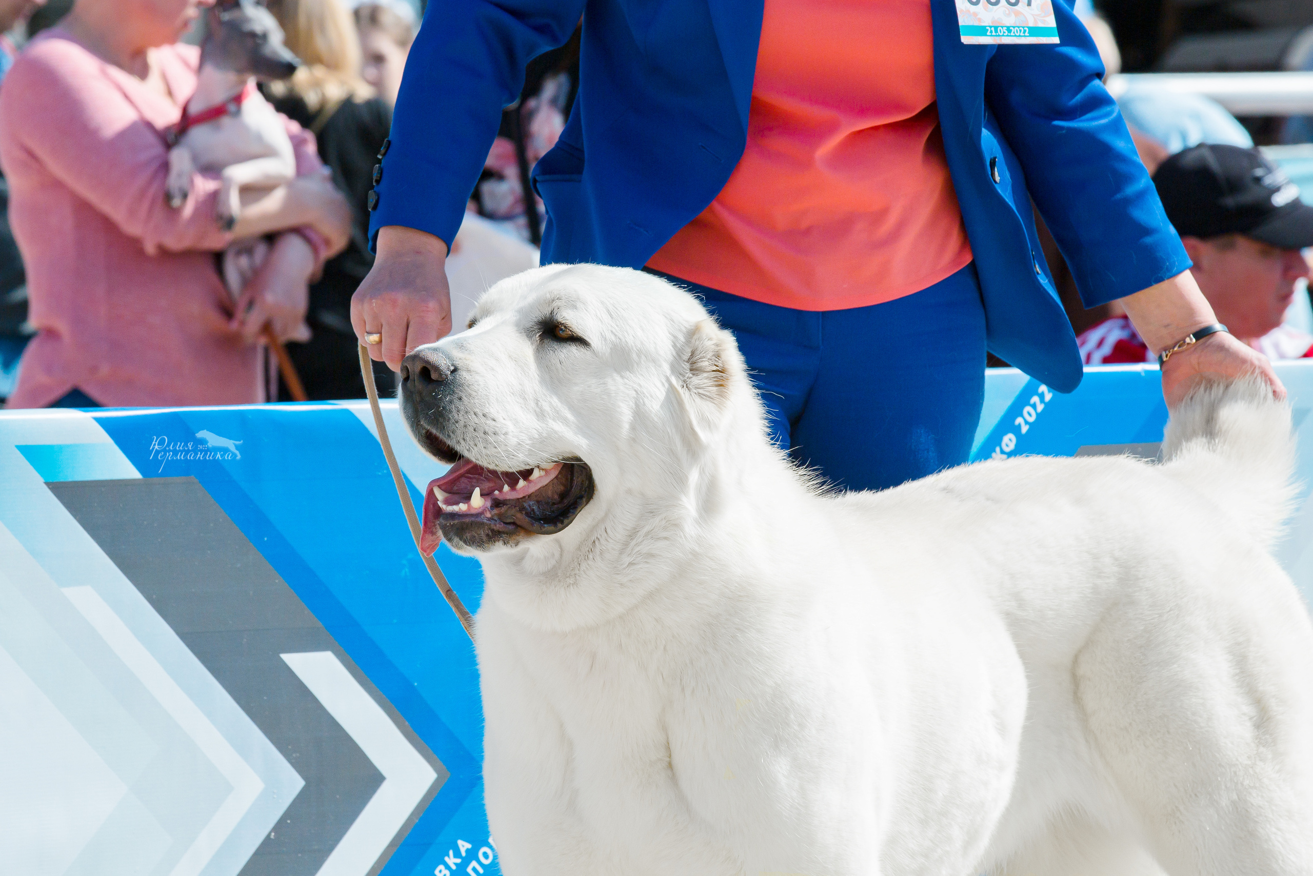 Евразия 21-22 мая 2022. Фотограф-анималист Юлия Германика